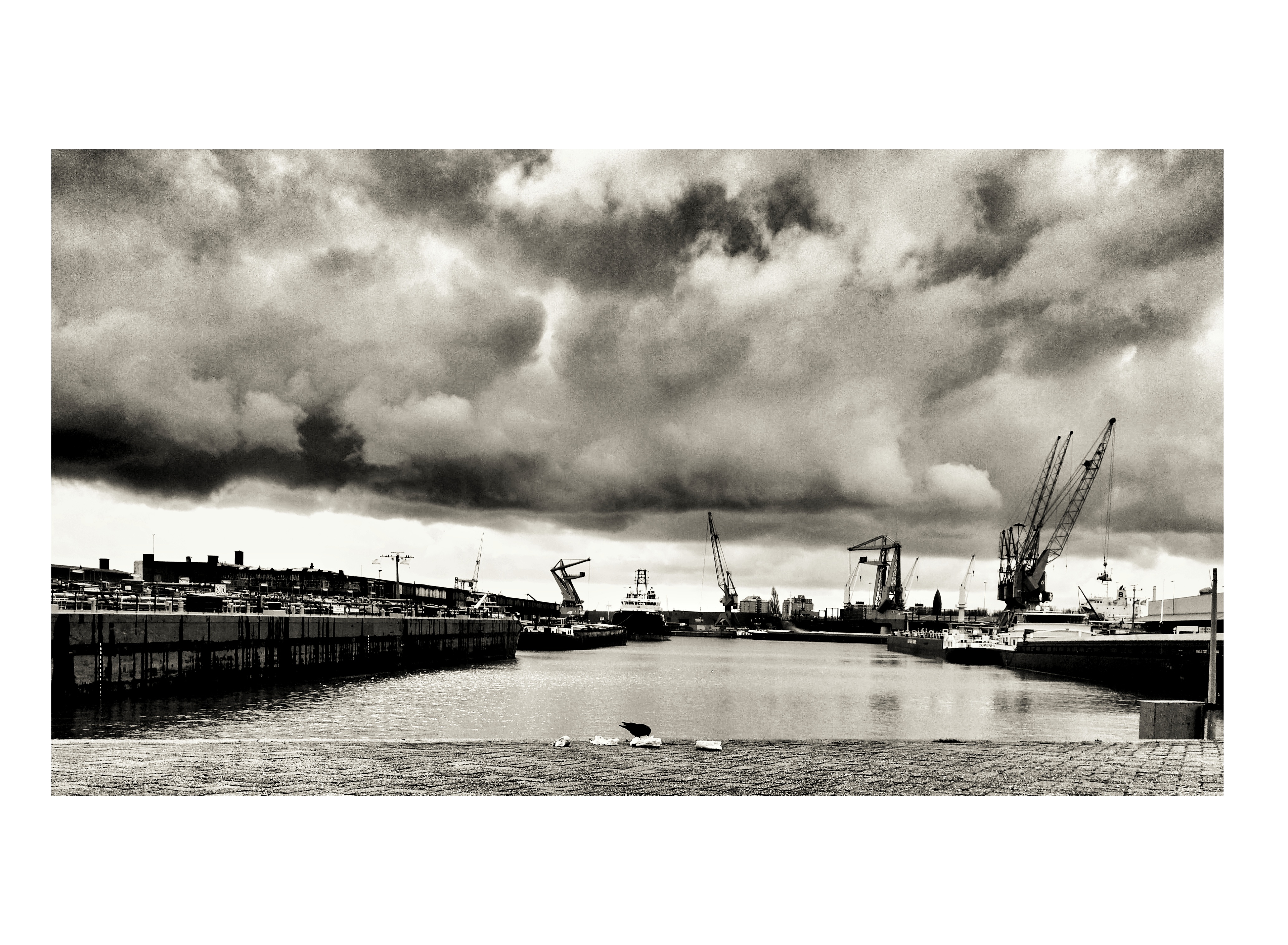 vierhavengebied-rotterdam