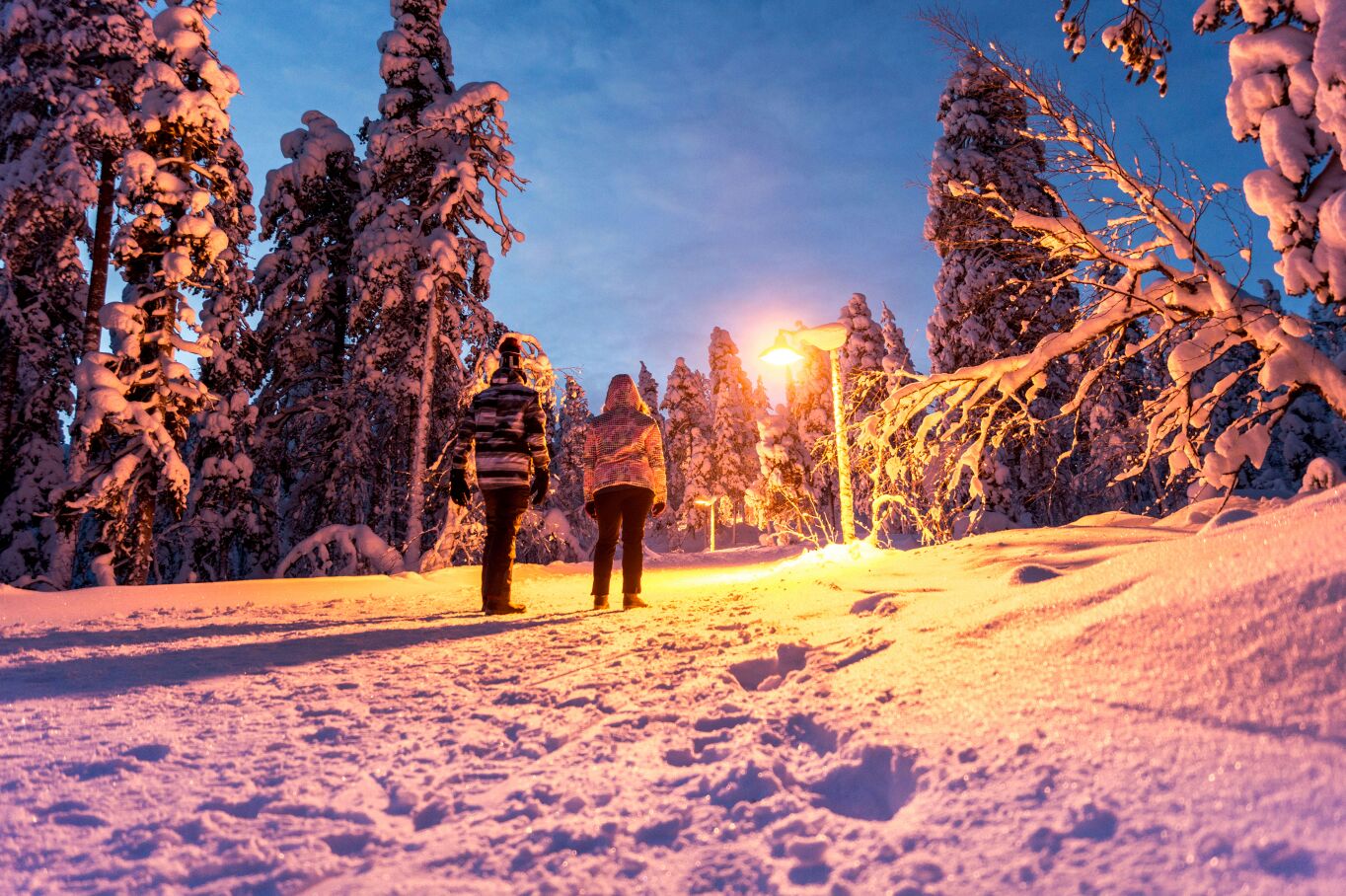 walking-in-a-winter-wonderland-1