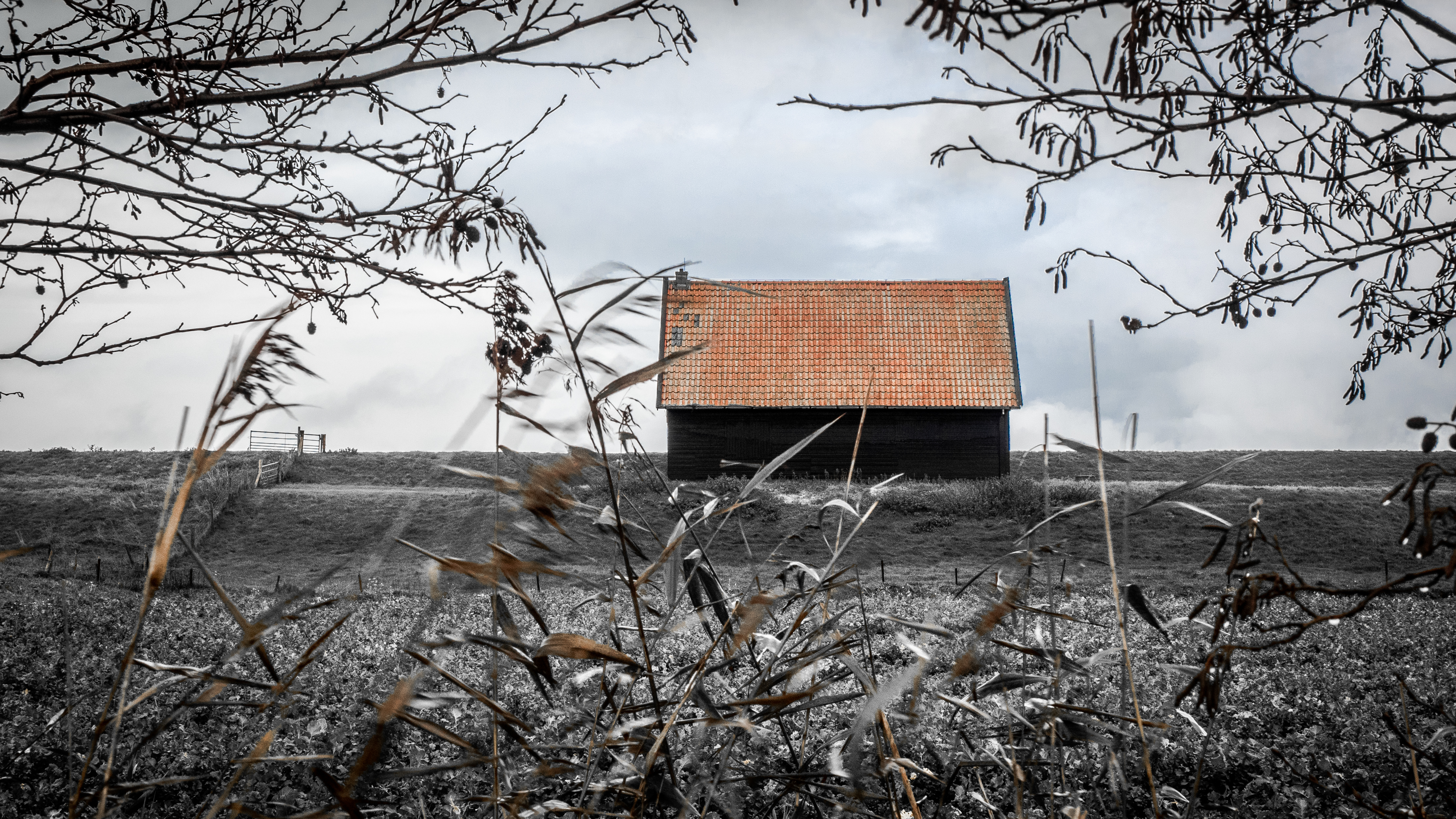 ijsselmeerdijk-noord-holland
