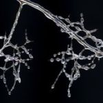 de-natuur-smeedt-een-sprookje