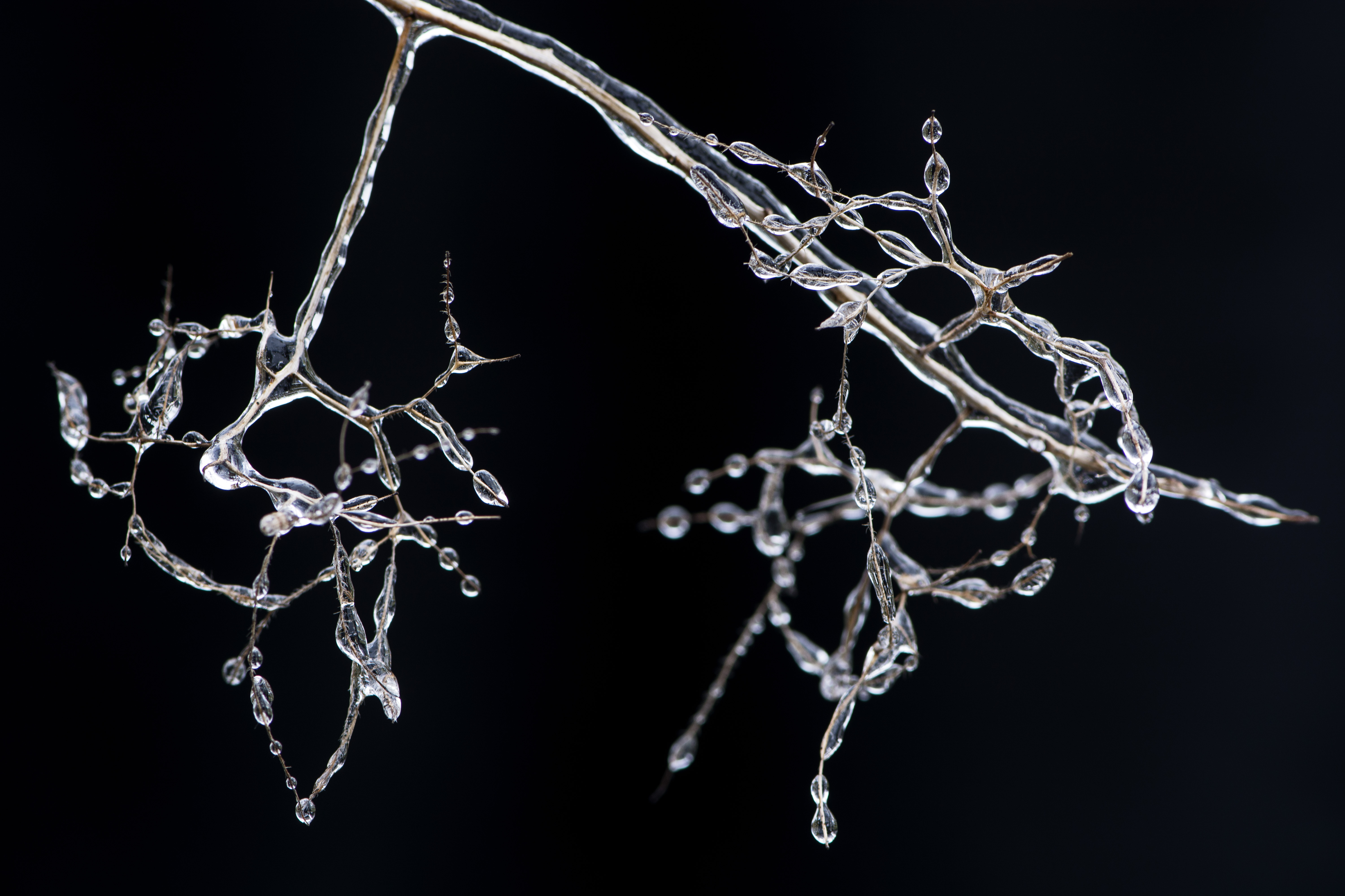 creatie-van-moeder-natuur-1