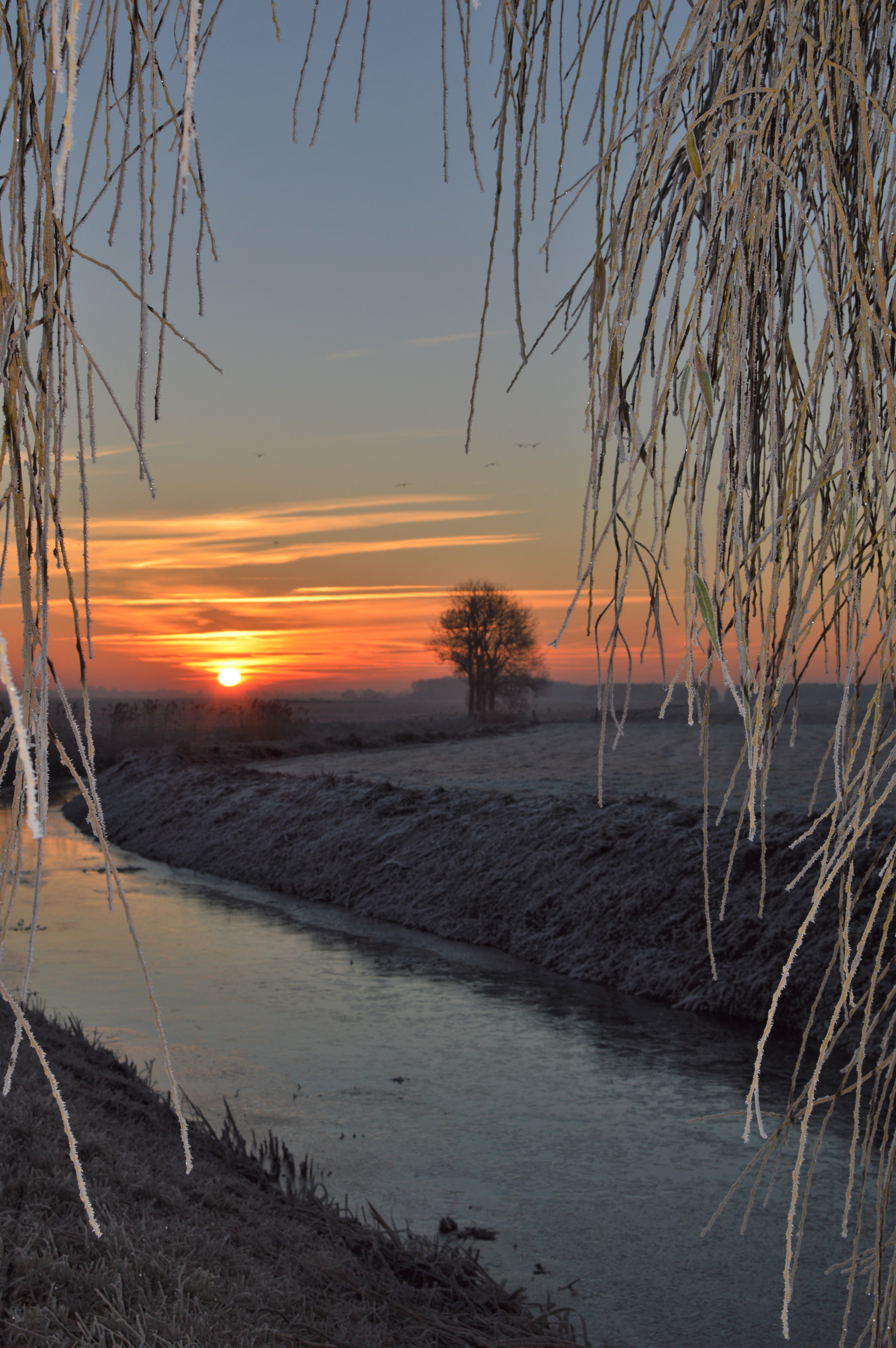 op-komende-zon-in-winterlandschap