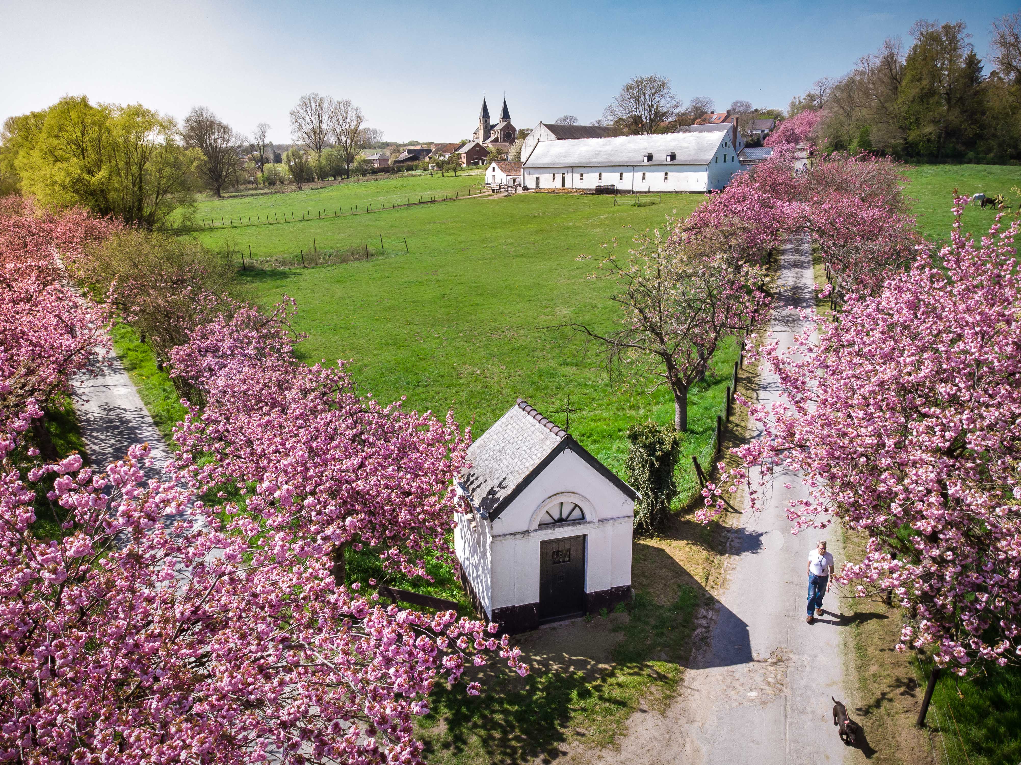 drone-challenge-neerijse-annual-pink-festival