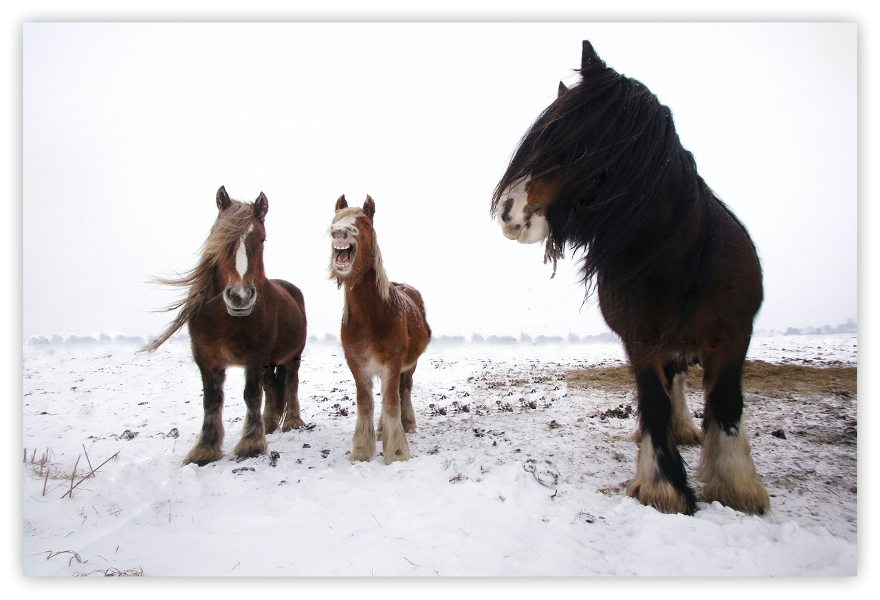 always-keep-laughing