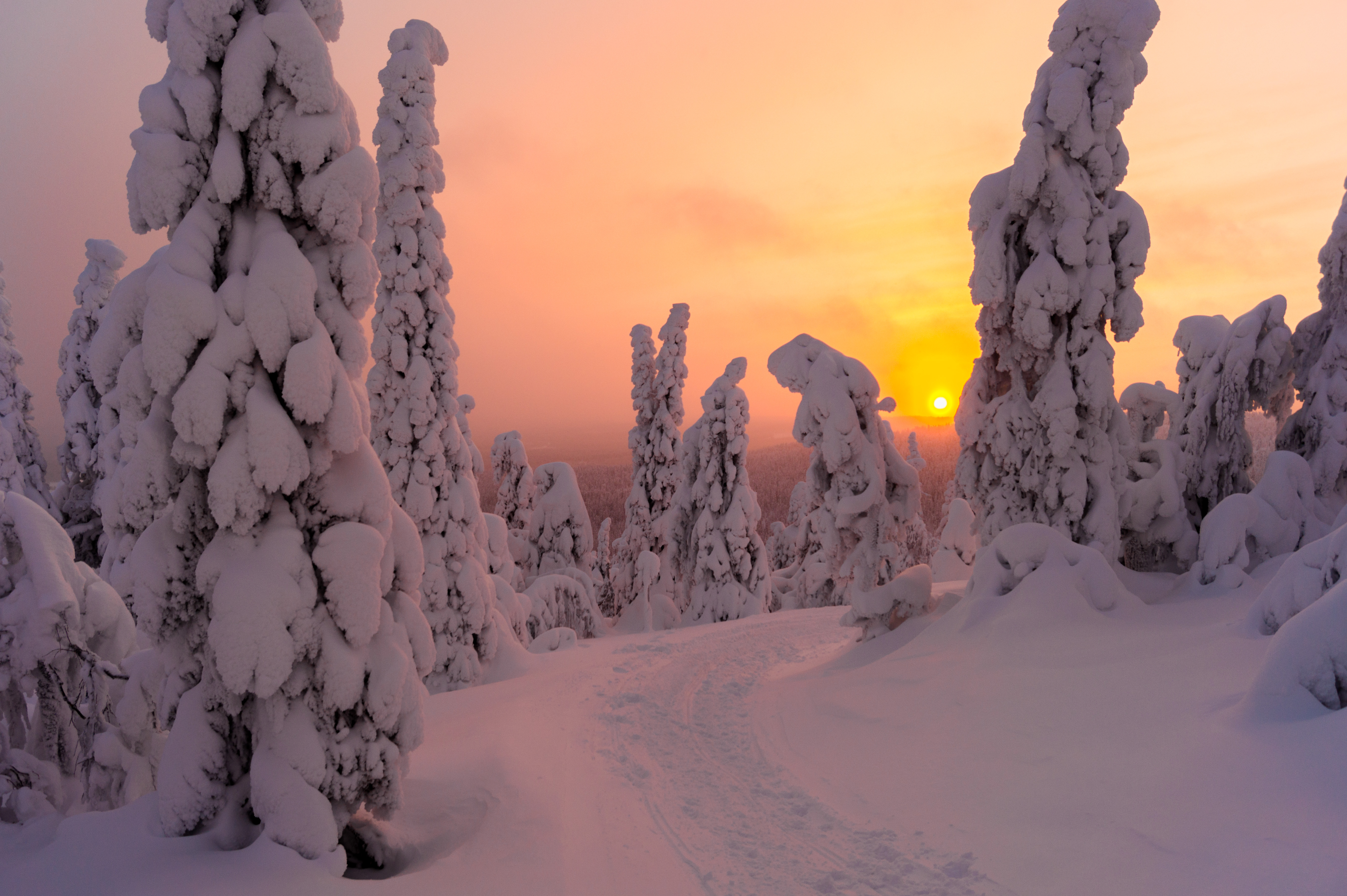 and-i-think-to-myself-what-a-wonderful-world