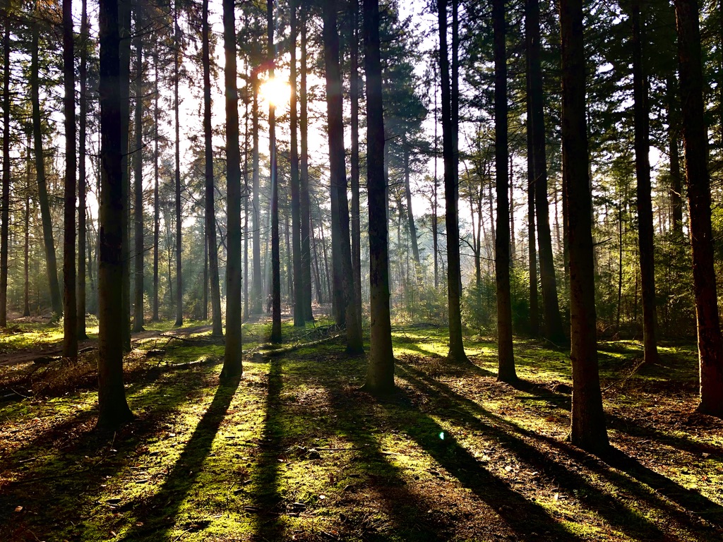 zonsondergang-in-rucphen