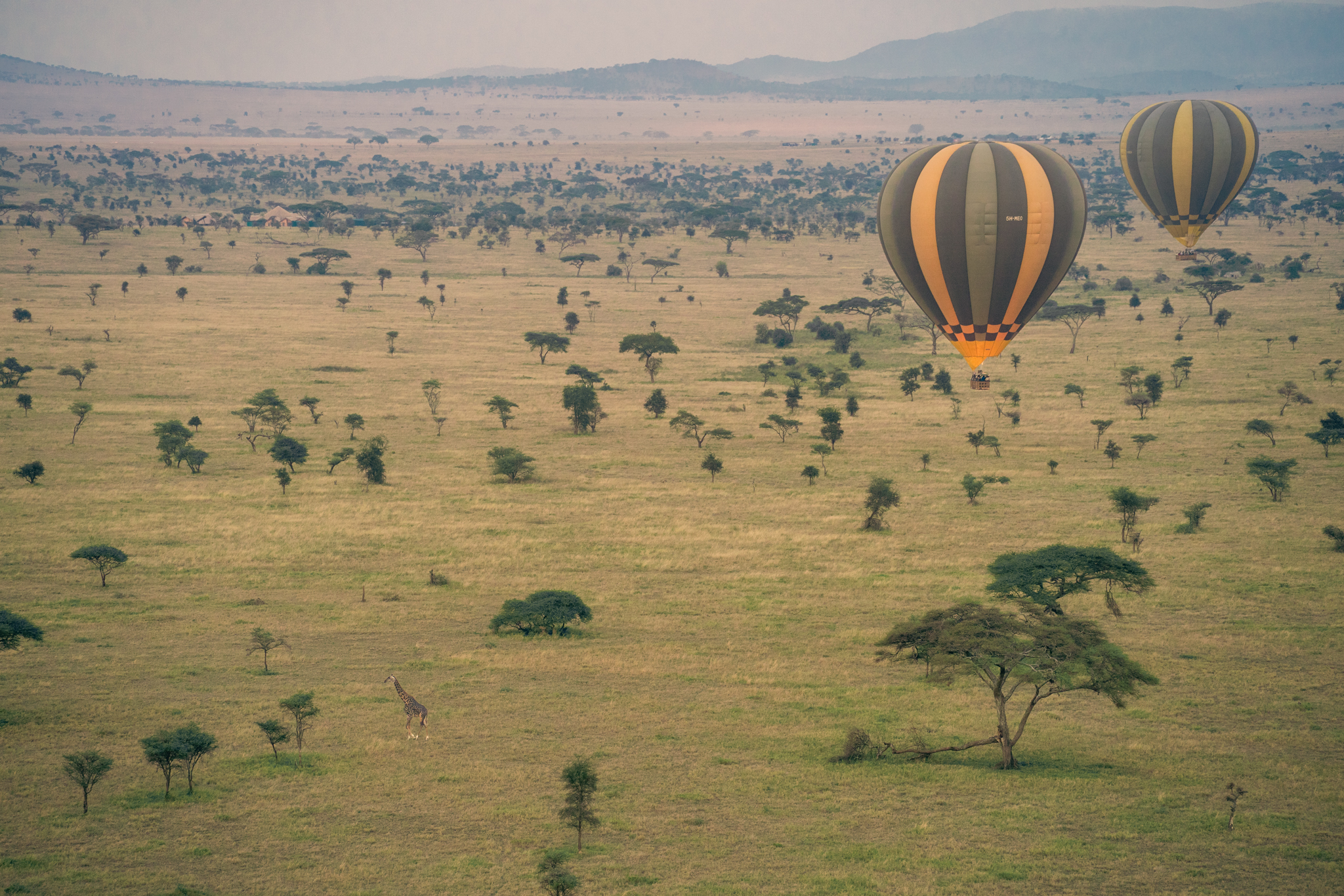 dromen-boven-de-serengeti-ballonsafari-bij-zonsopkomst