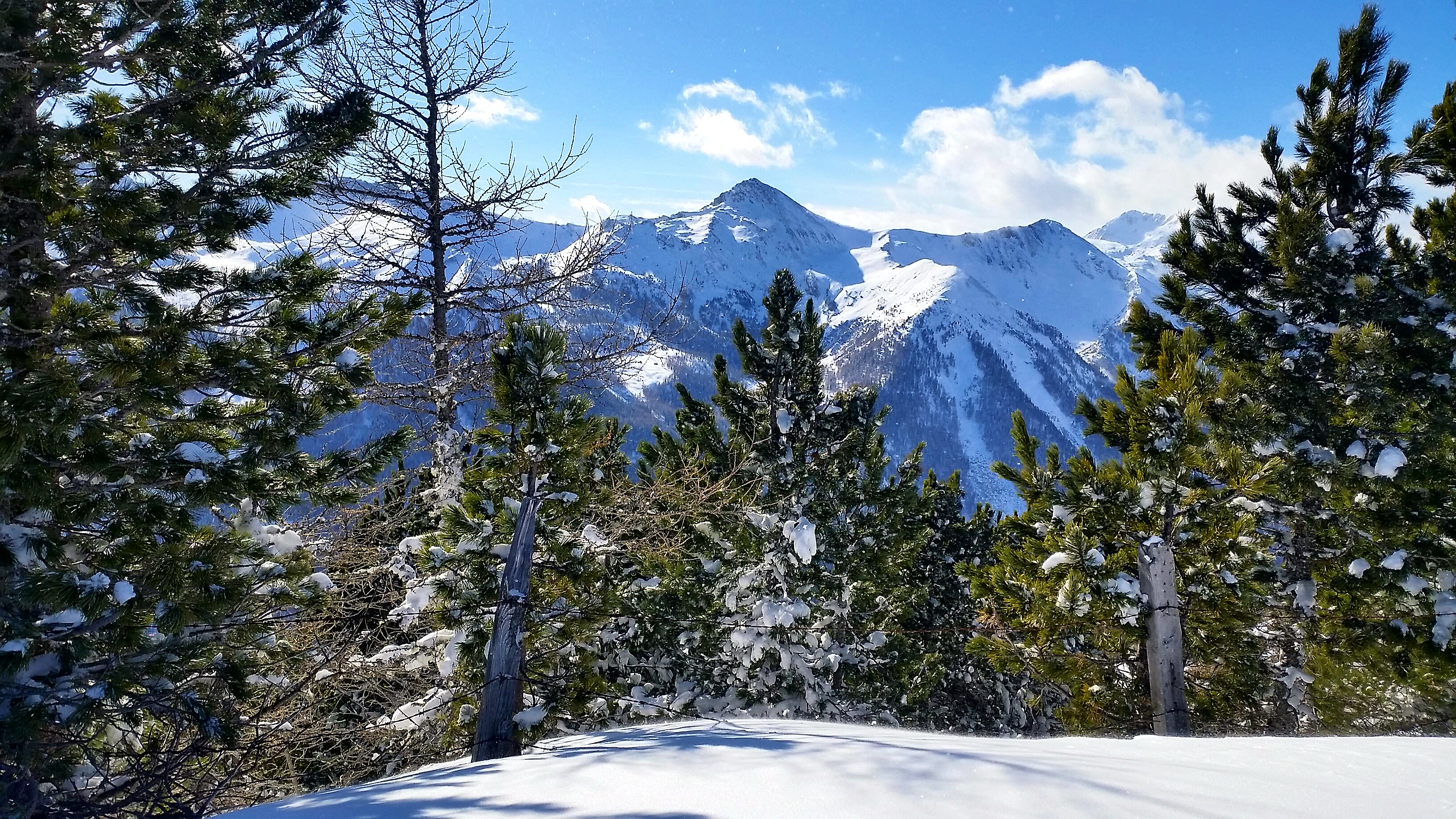 winterzon-in-de-alpen