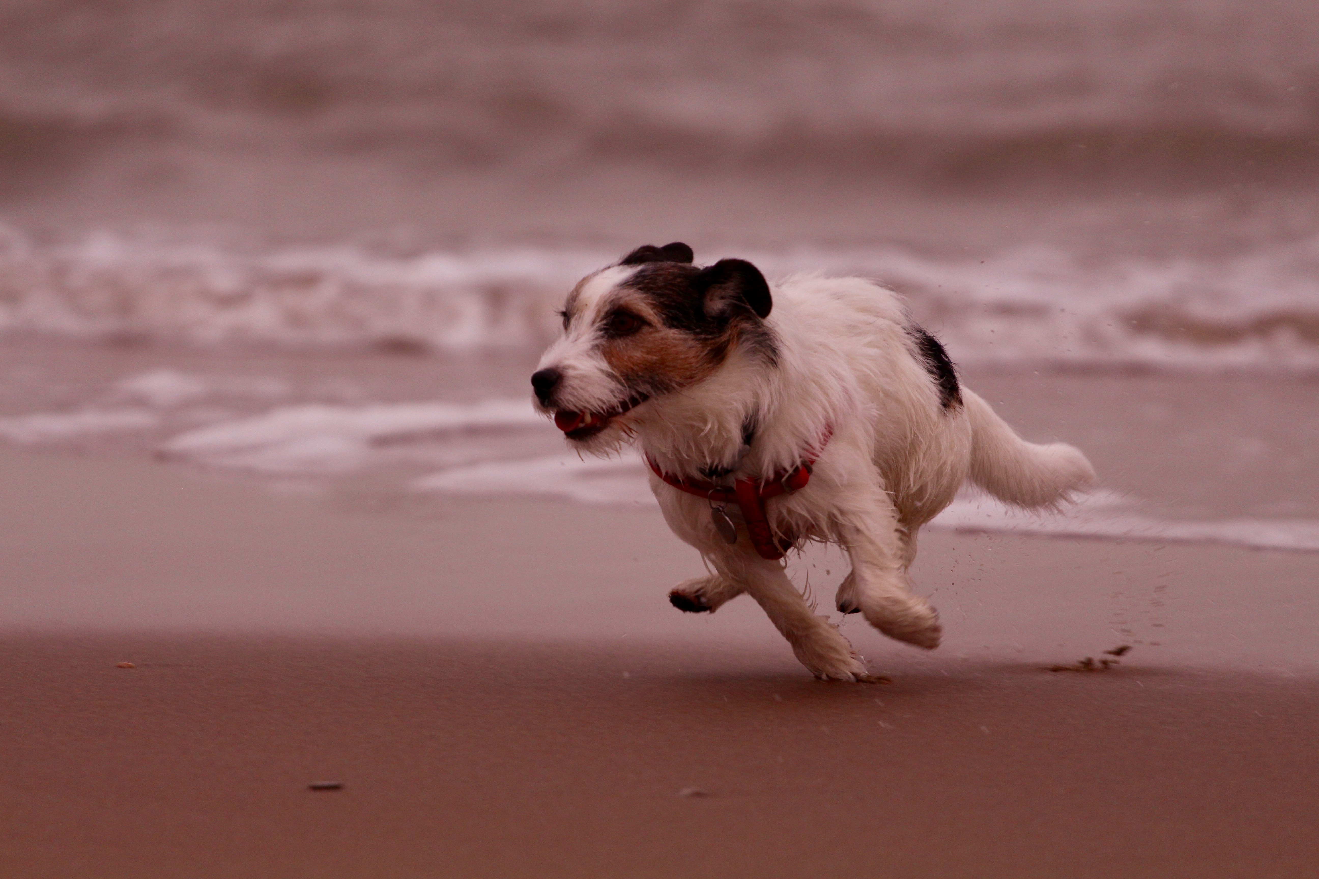 running-on-the-beach