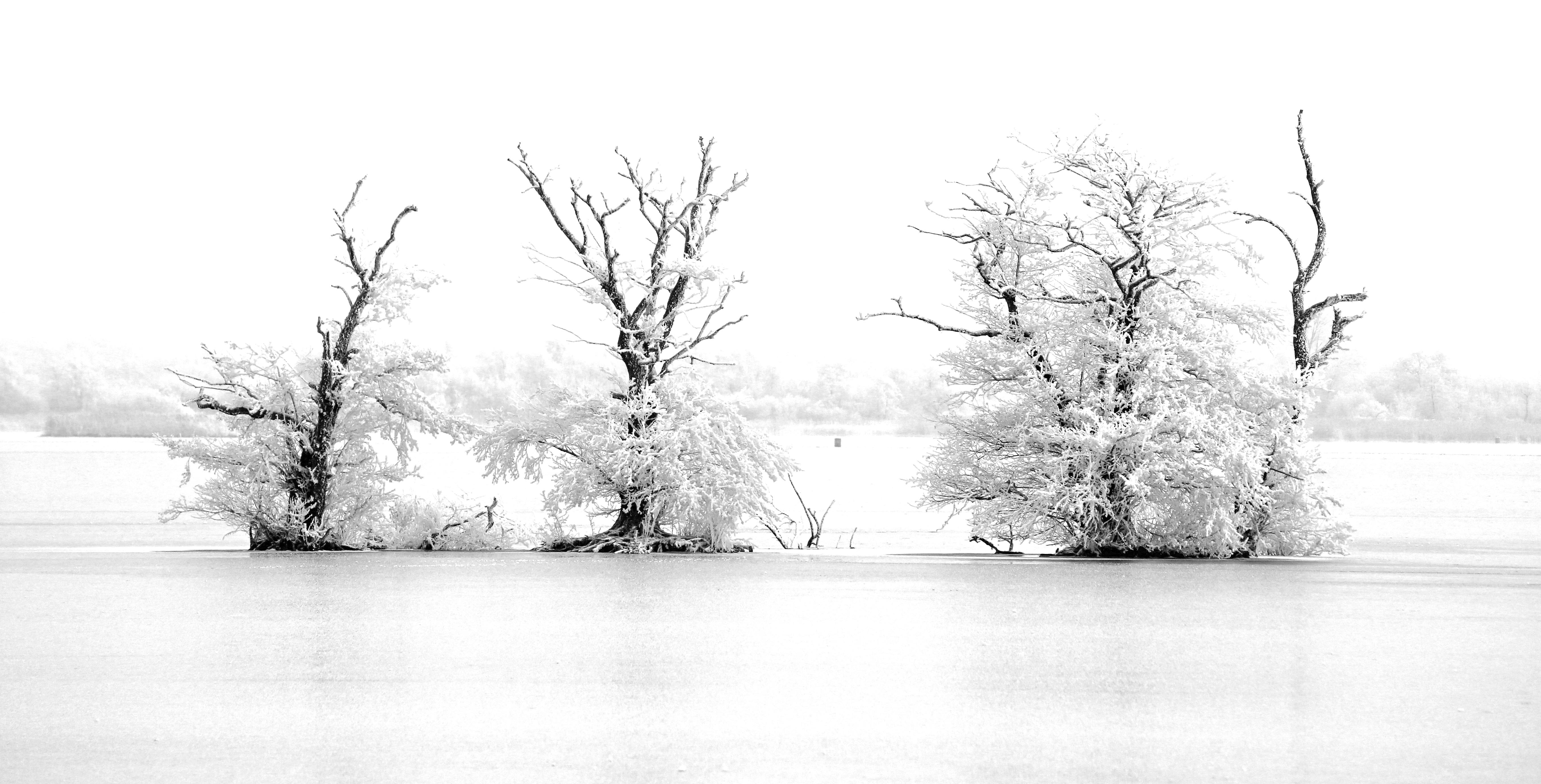 omringd-door-sneeuw-en-ijs