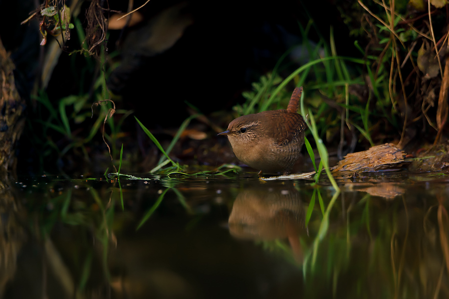 donkere-dagen-voor-kerst