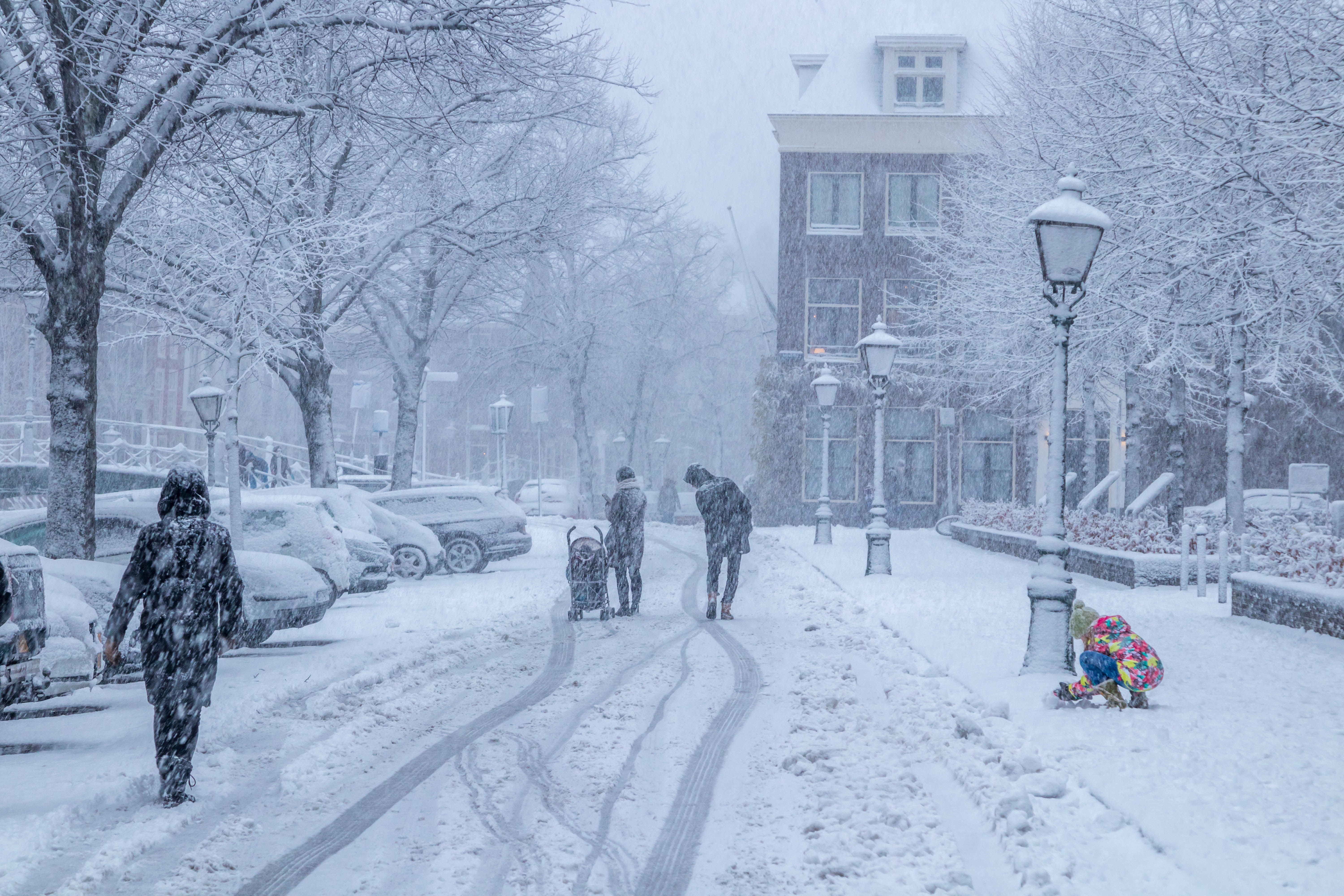 beetje-kleur-tijdens-de-sneeuwstorm