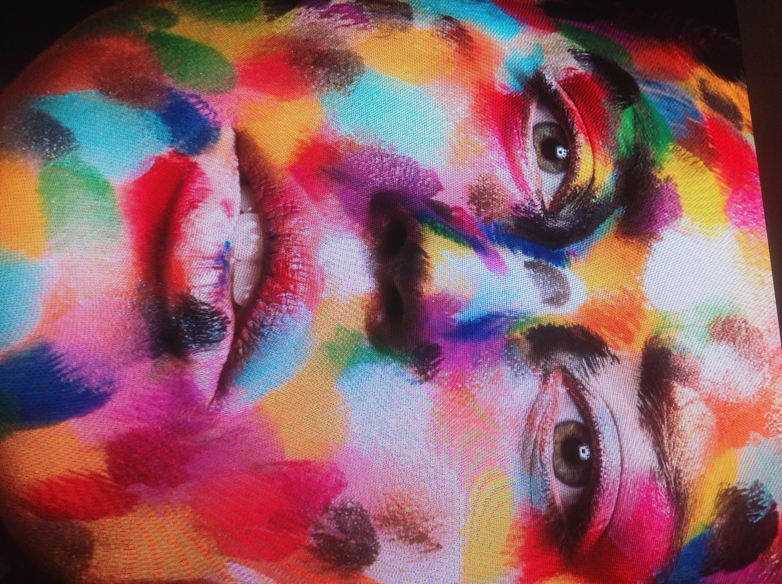 potret-foto-wedstrijd-inzending