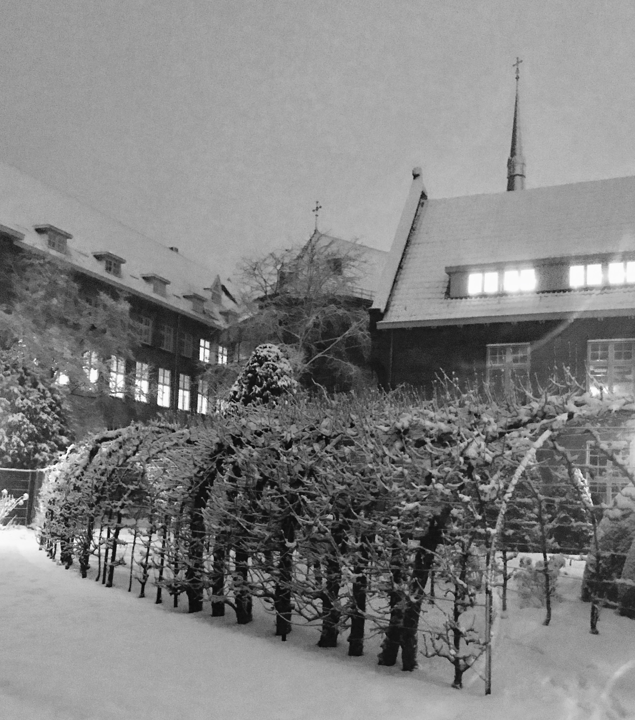 universiteitsgebouw-en-tuin-jads-den-bosch