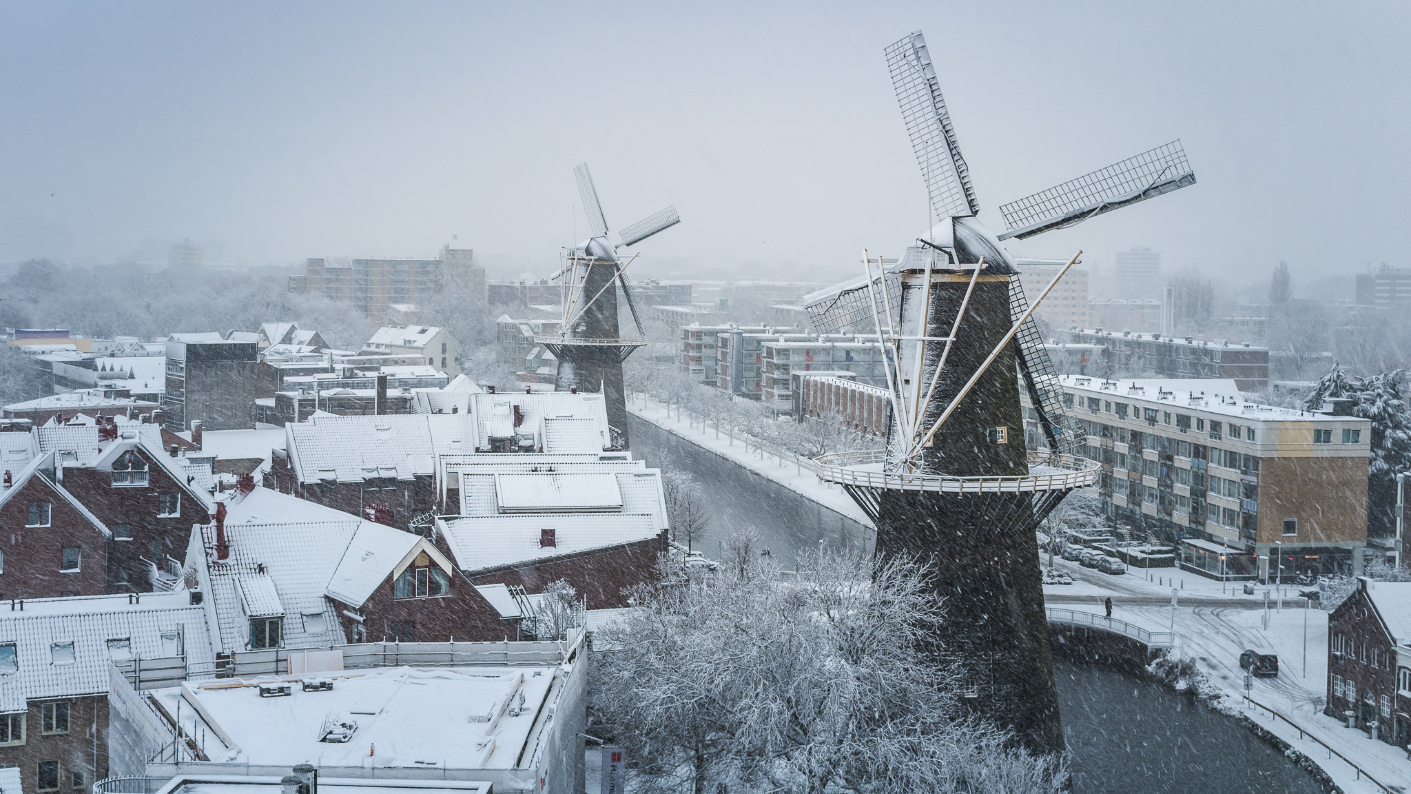 vanuit-de-kap-van-de-molen