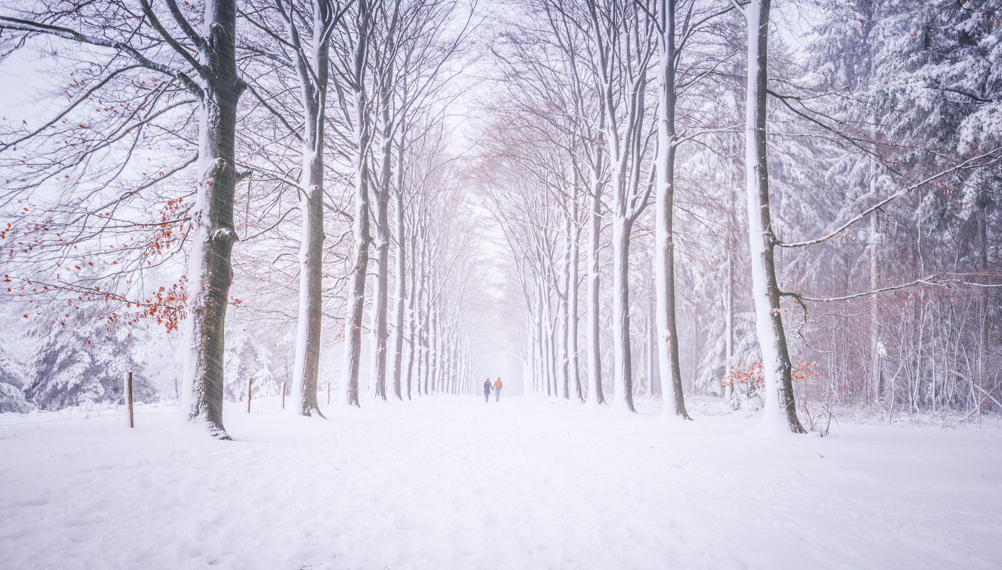 orange-is-the-new-white