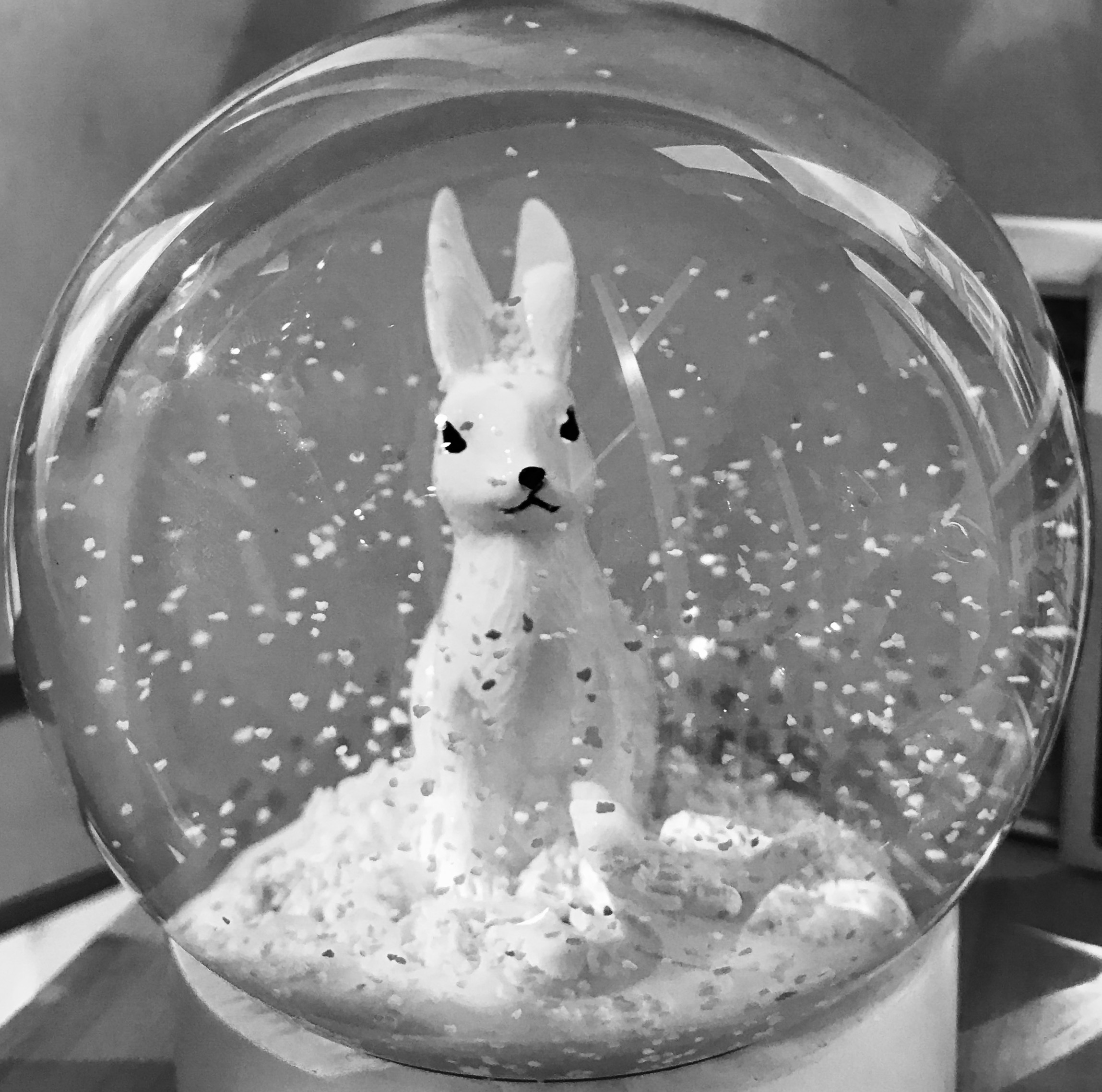 een-jaar-lang-winter