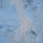 loonse-en-drunense-duinen