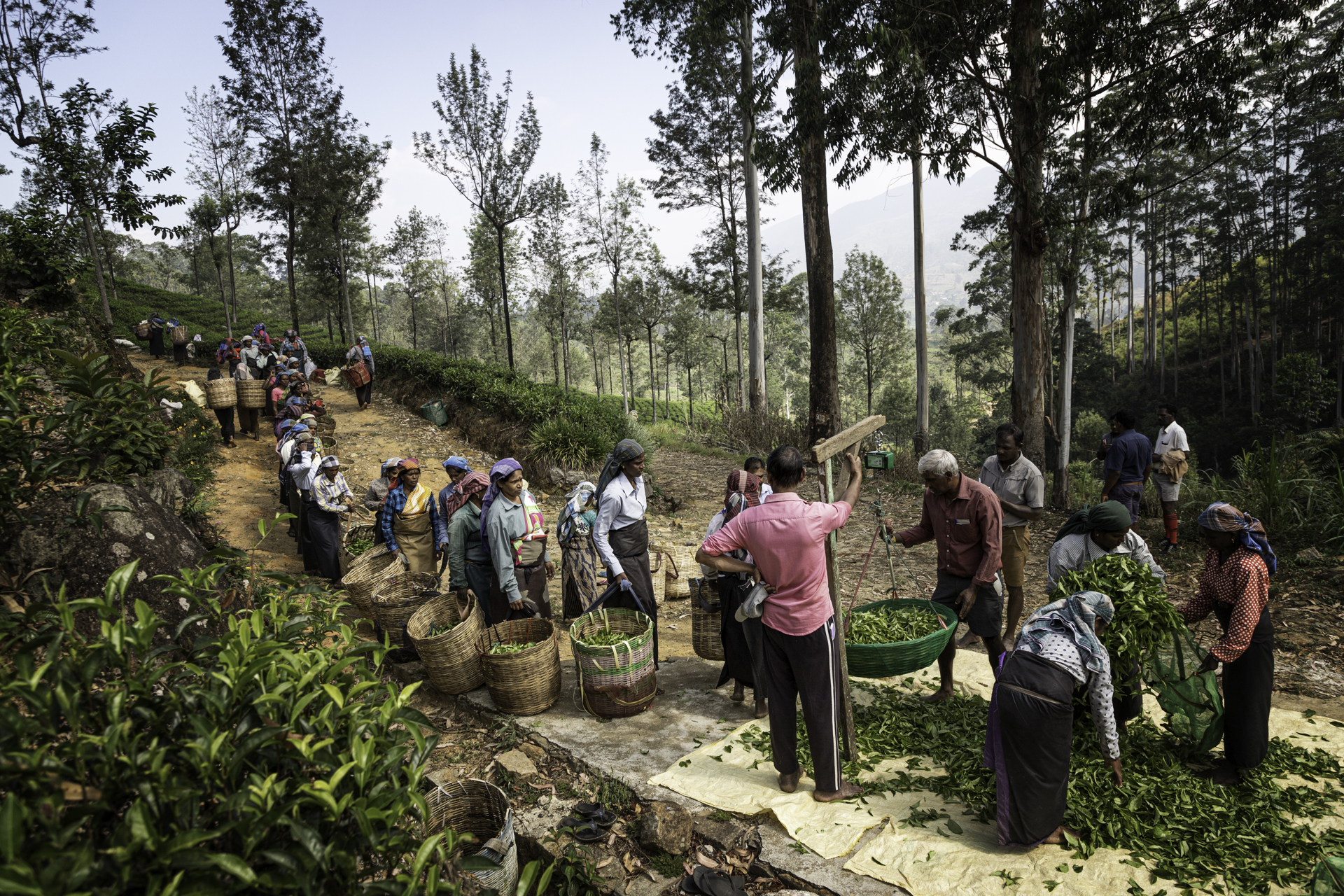 meedoen-aan-voedselfotografie-wedstrijd-2026