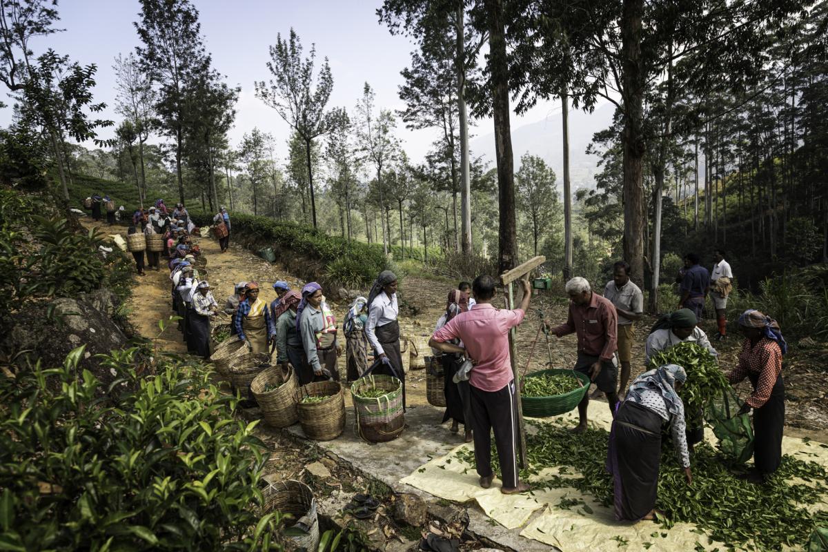 meedoen-aan-voedselfotografie-wedstrijd-2026