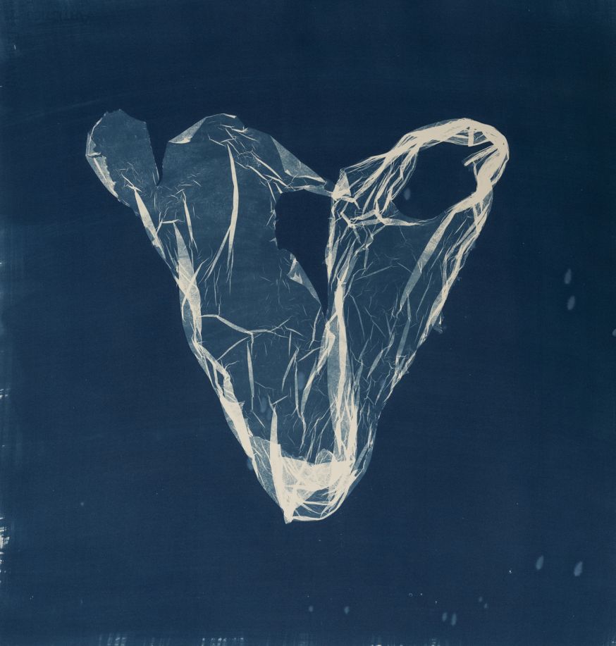 Suzette Bousema, Future Relics 40, 2025 &copy; Suzette Bousema 