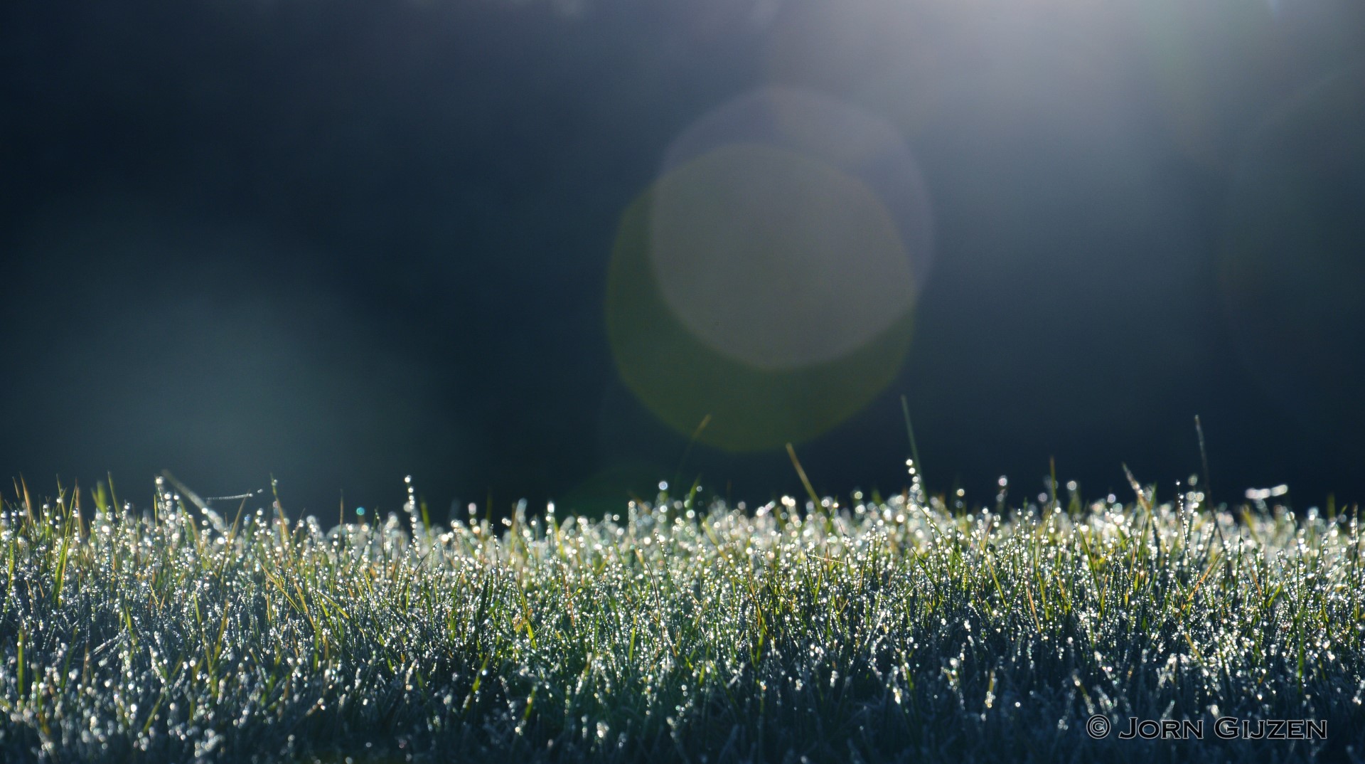 teardrops-from-the-sun