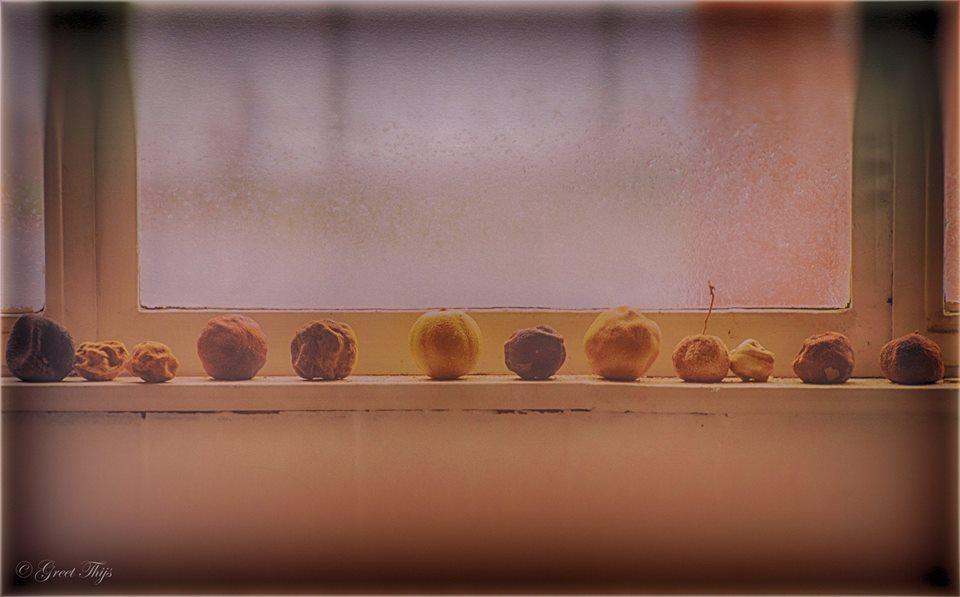 een-appeltje-voor-de-dorst