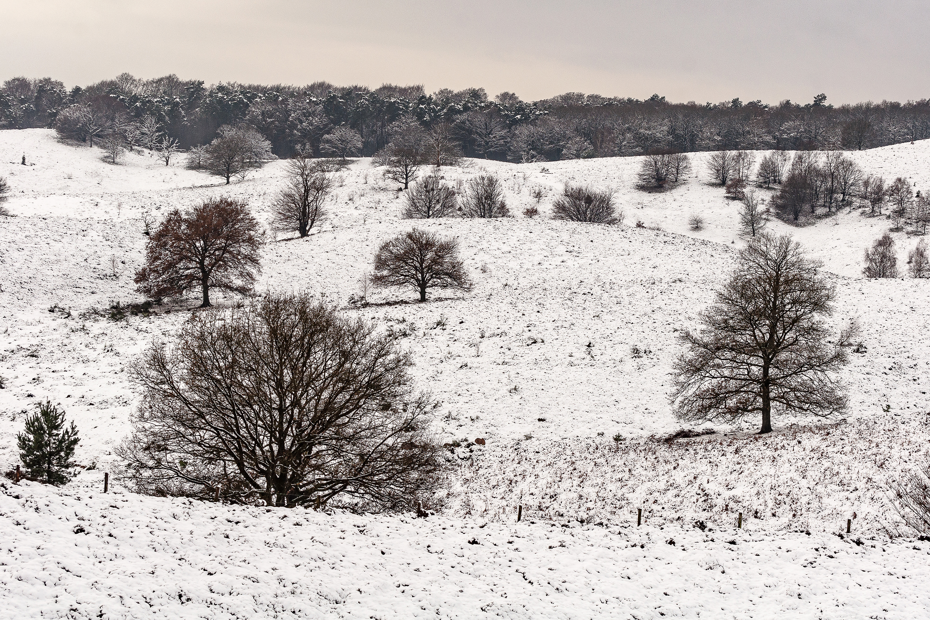 winter-op-de-postbank