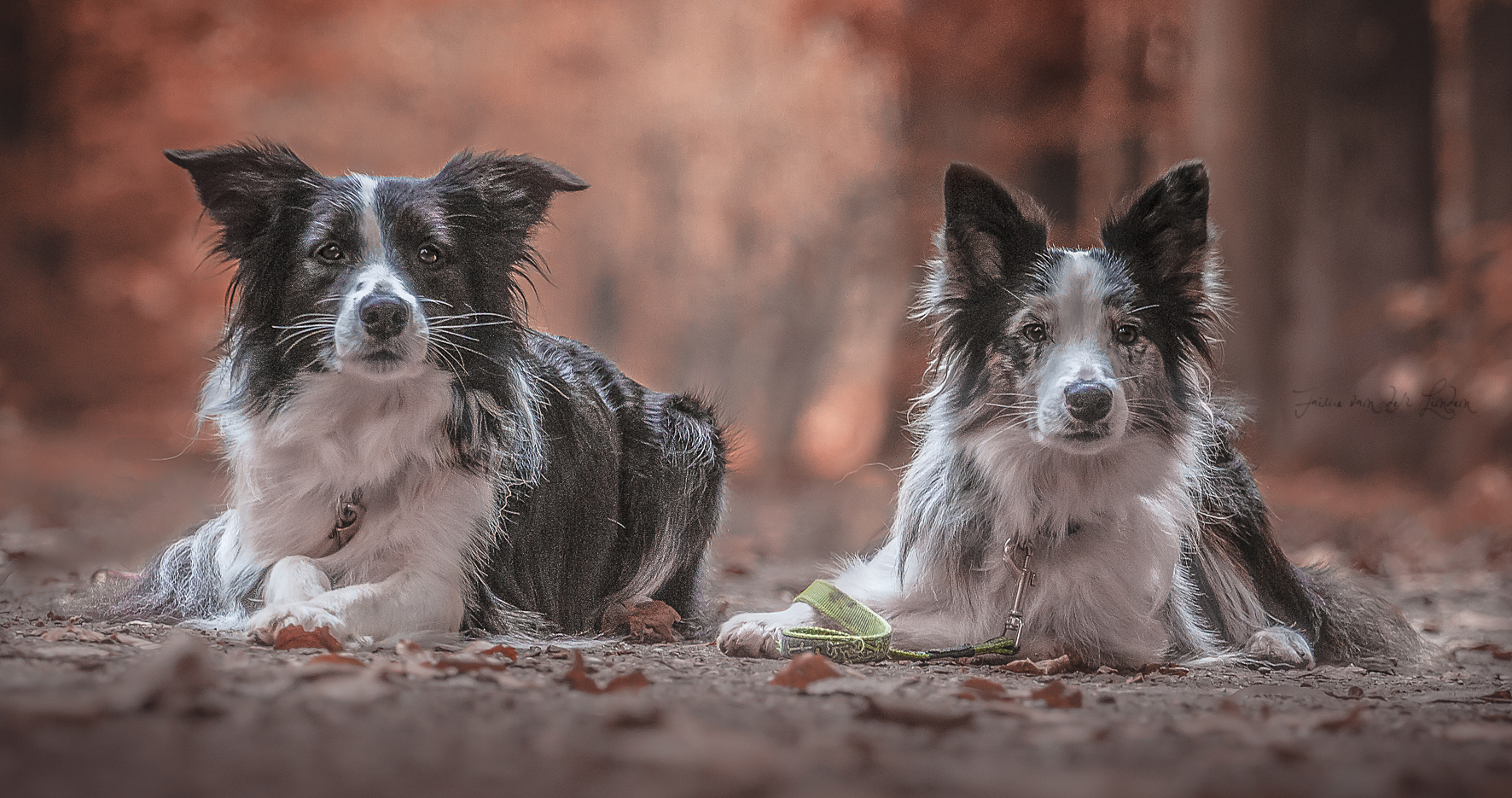 a-daughter-is-just-a-little-girl-who-grows-up-to-b