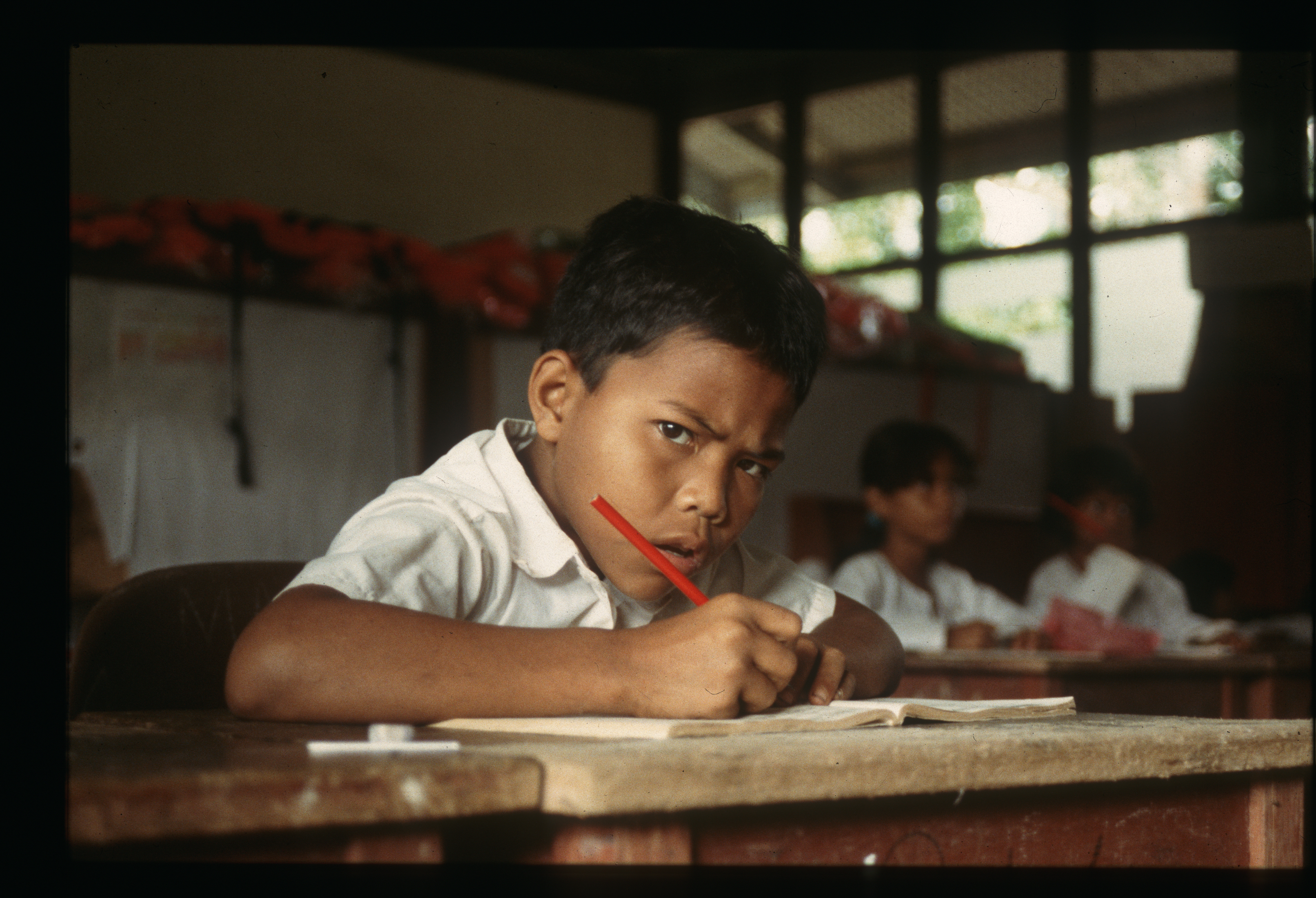 maleisi%C3%AB-geconcentreerd