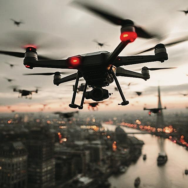 they-come-like-flocks-of-starlings