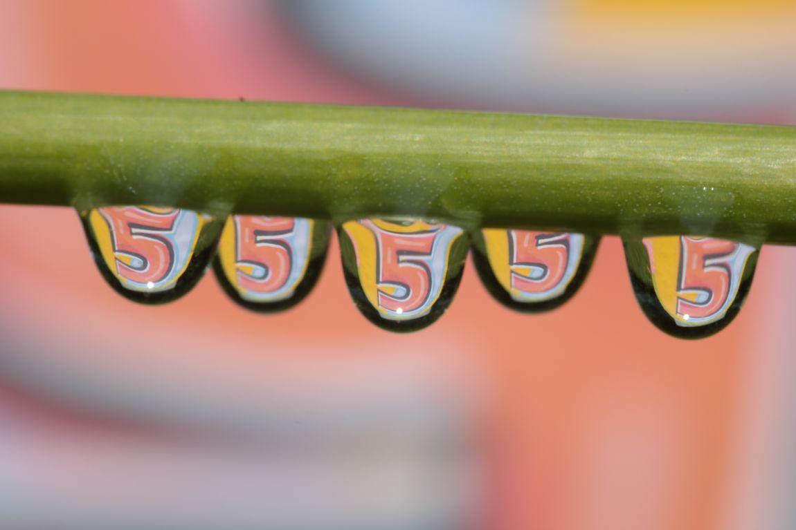 uitslag-fotowedstrijd-vijf