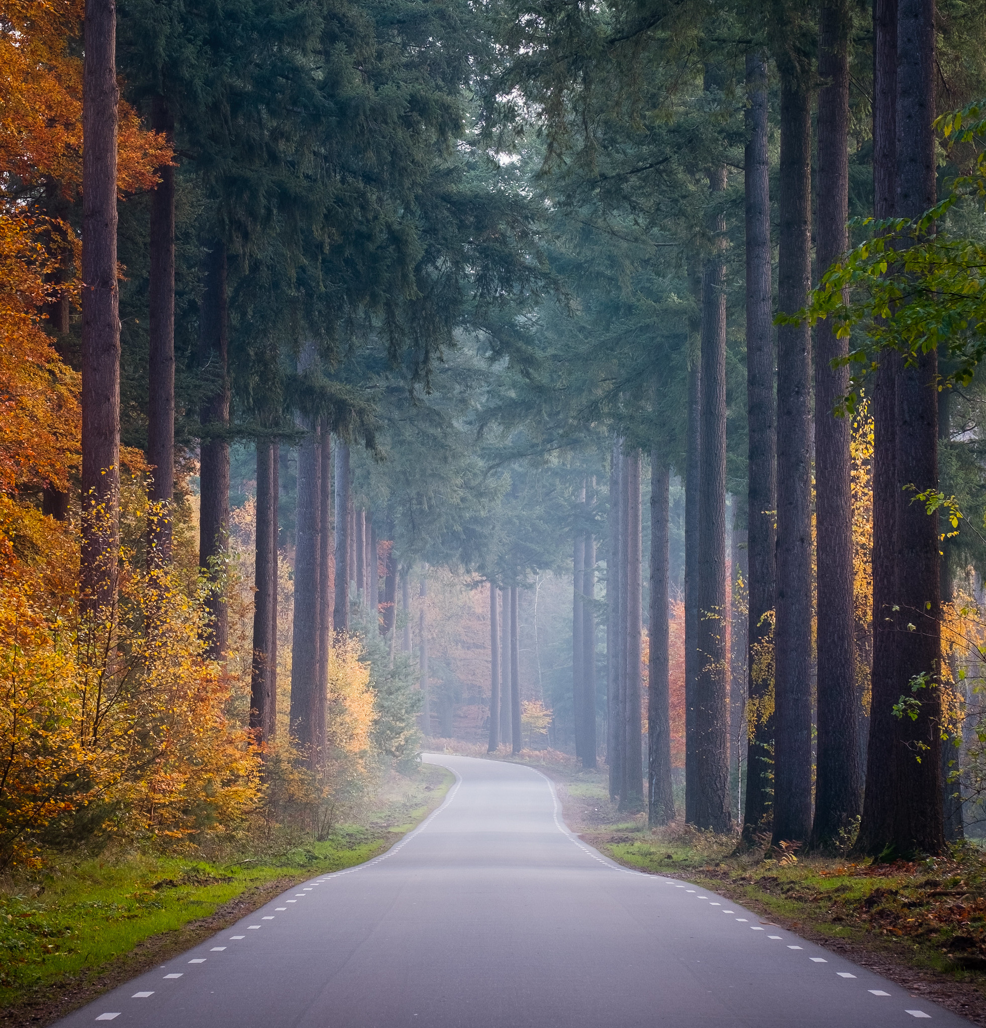 autumn-road-1