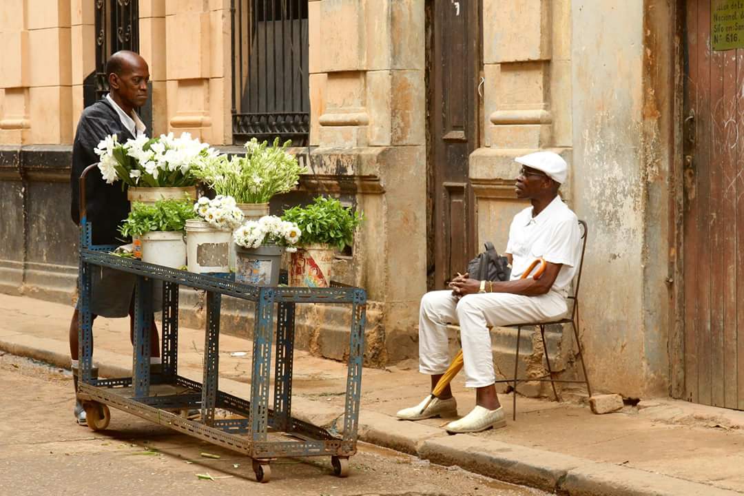 flowers-from-cuba-0