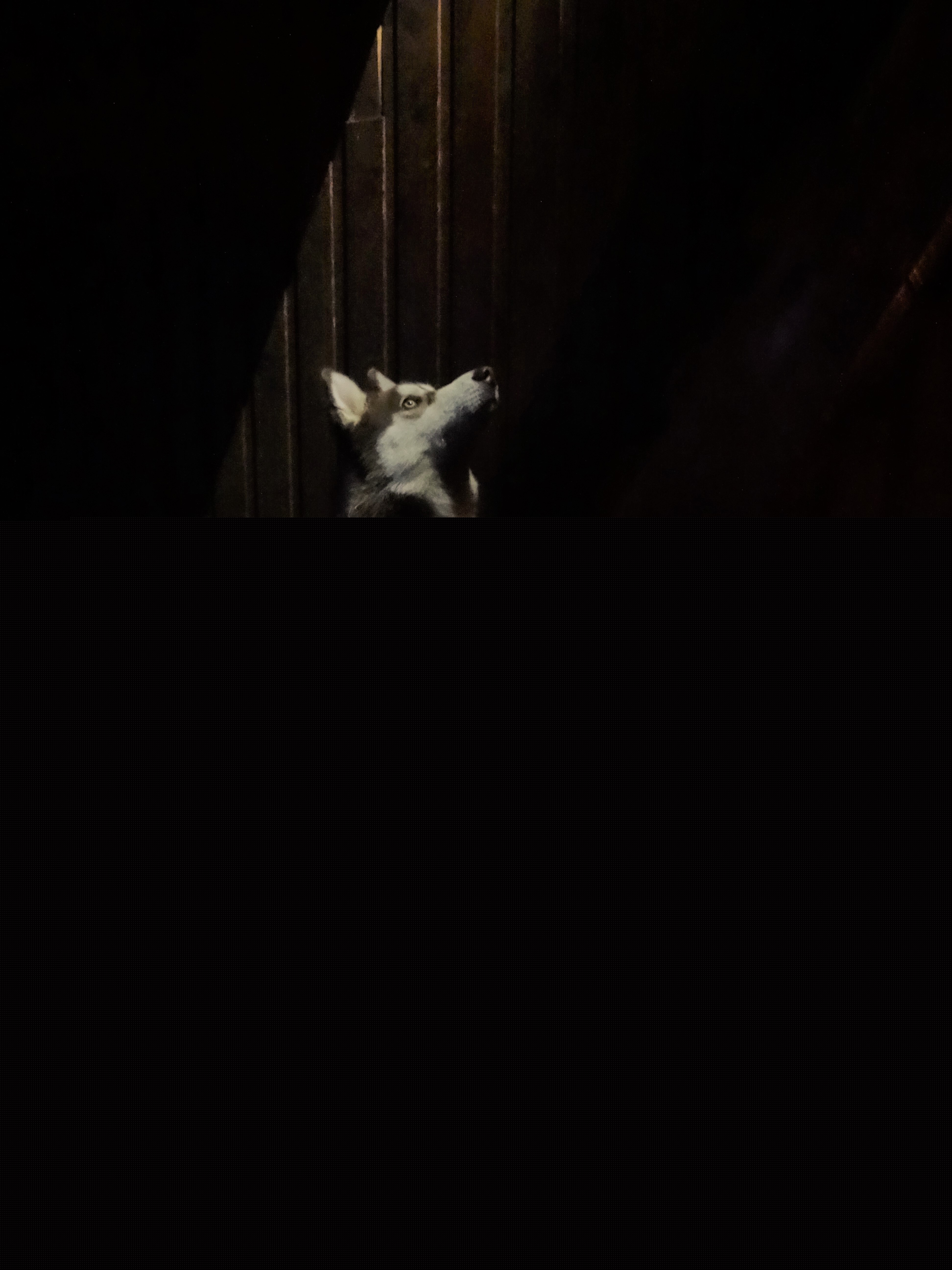 skye-in-the-spotlight