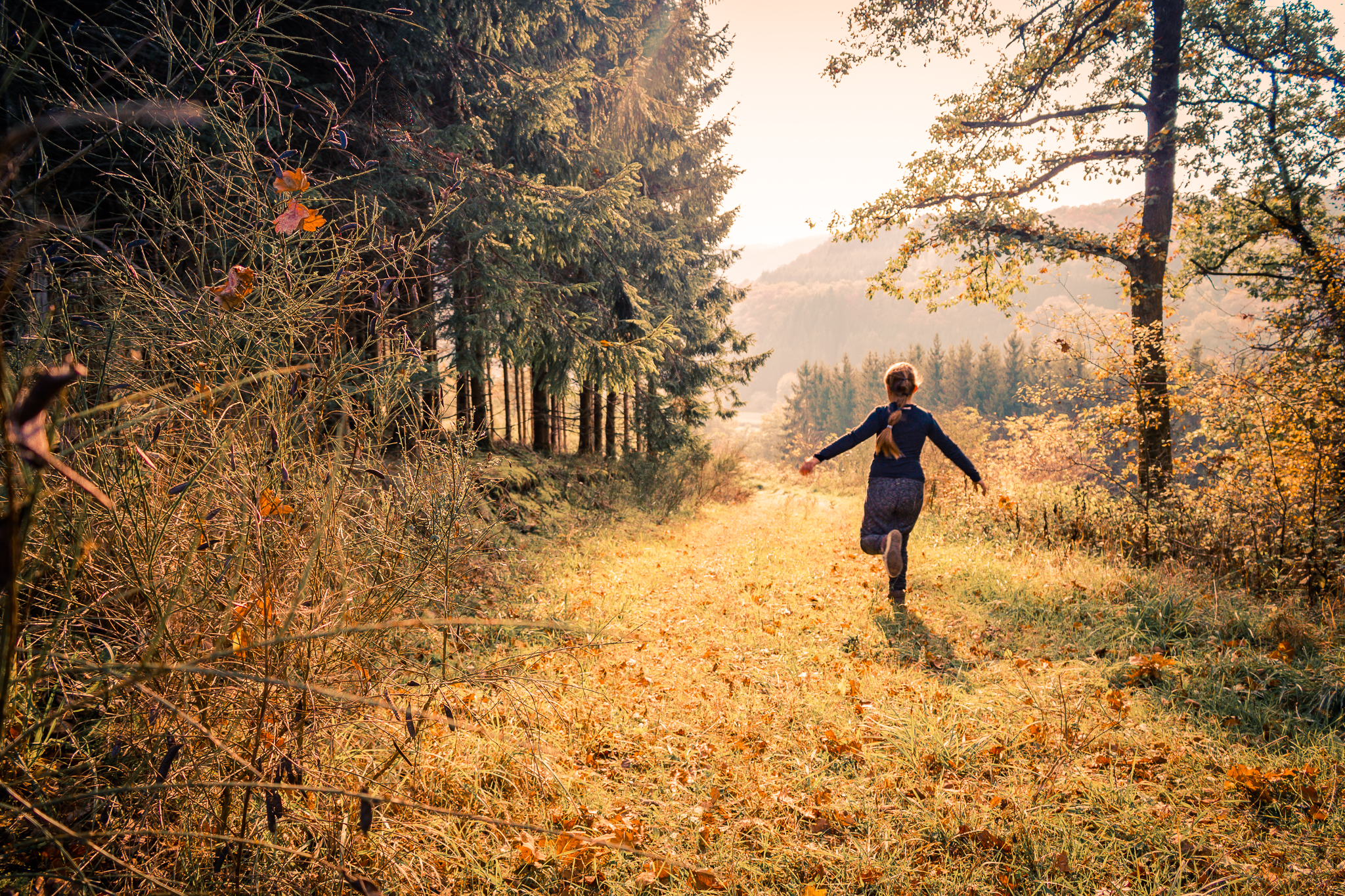 chelsea-in-een-sprookjesbos