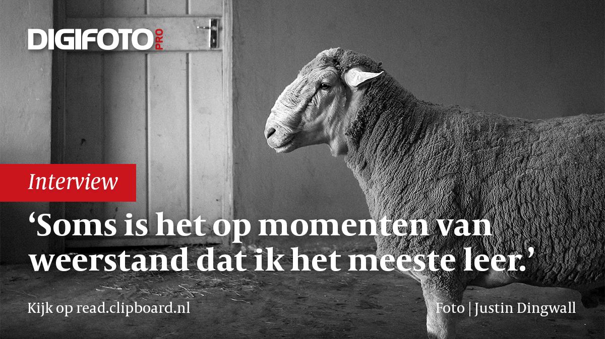 fotoproject-incurious-van-justin-dingwall