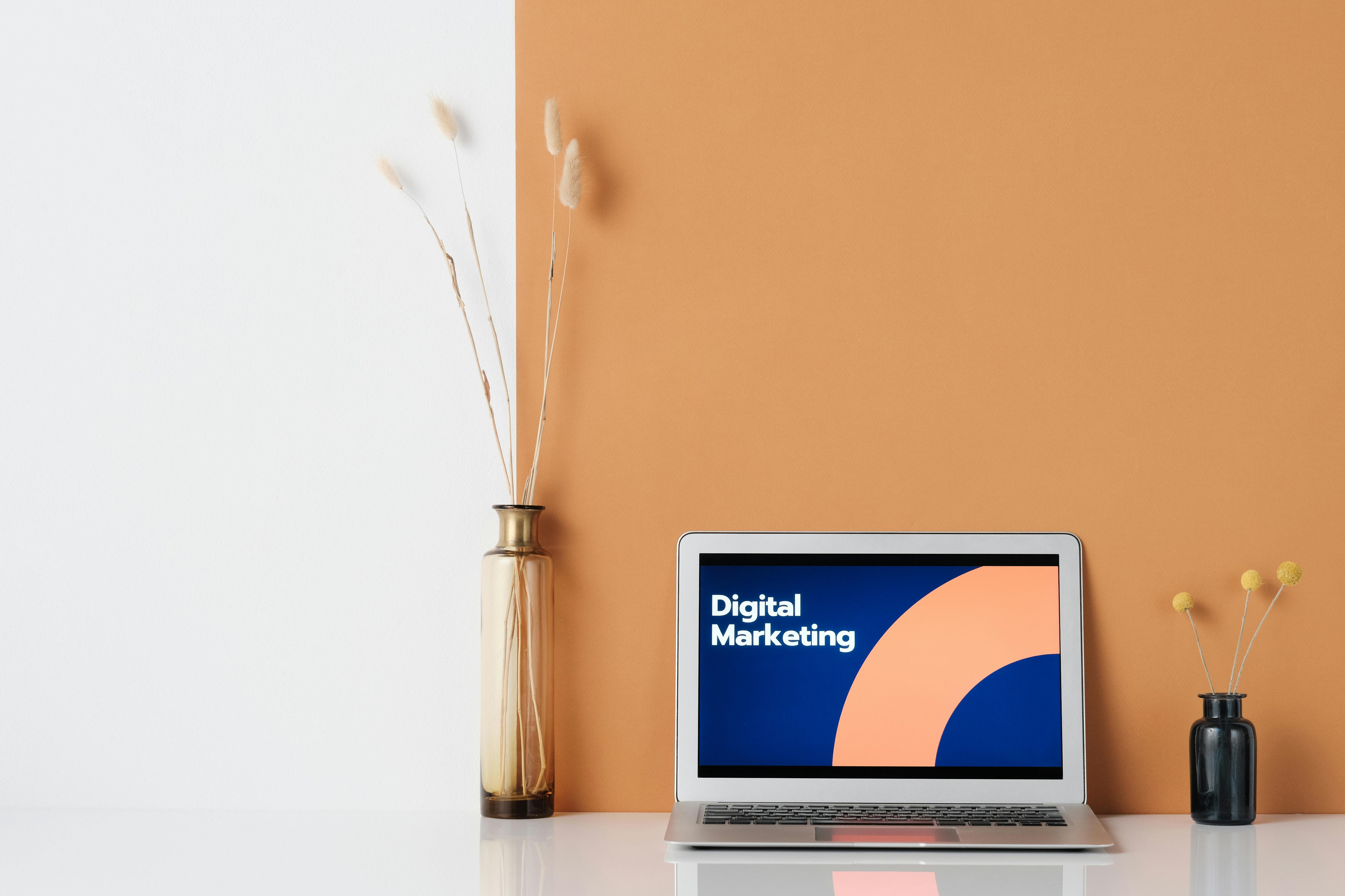 online-marketing-zwolle-schaal-op-zodra-winst-per-order-helder-is