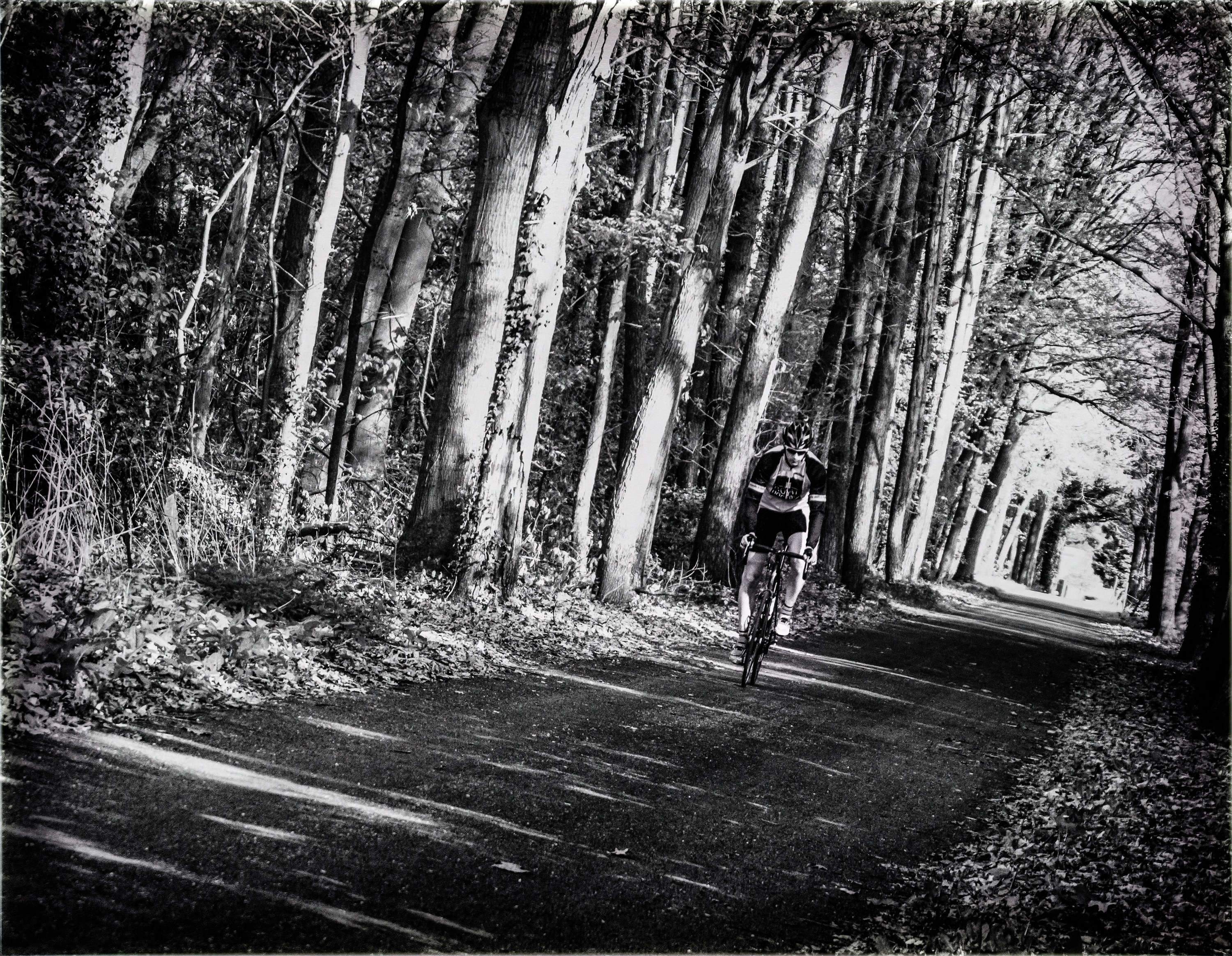 fietstochtje-door-de-bossen