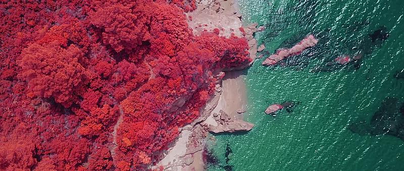 bijzondere-infraroodbeelden-met-drones