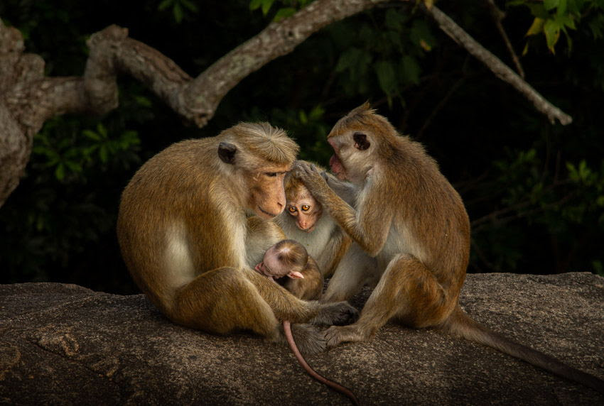 sony-world-photography-awards-studenten-en-jeugdcompetities-shortlists-bekendgemaakt