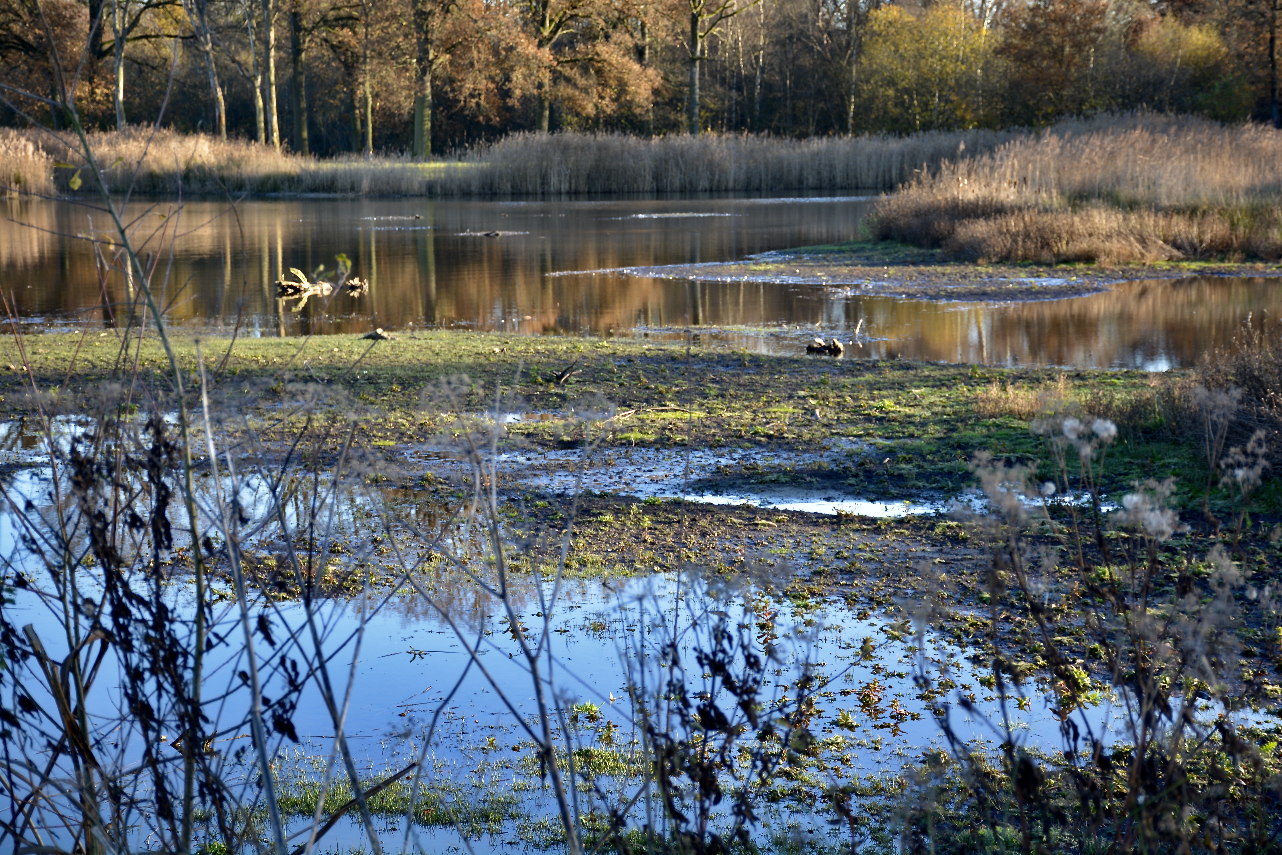 kempen-broek-0