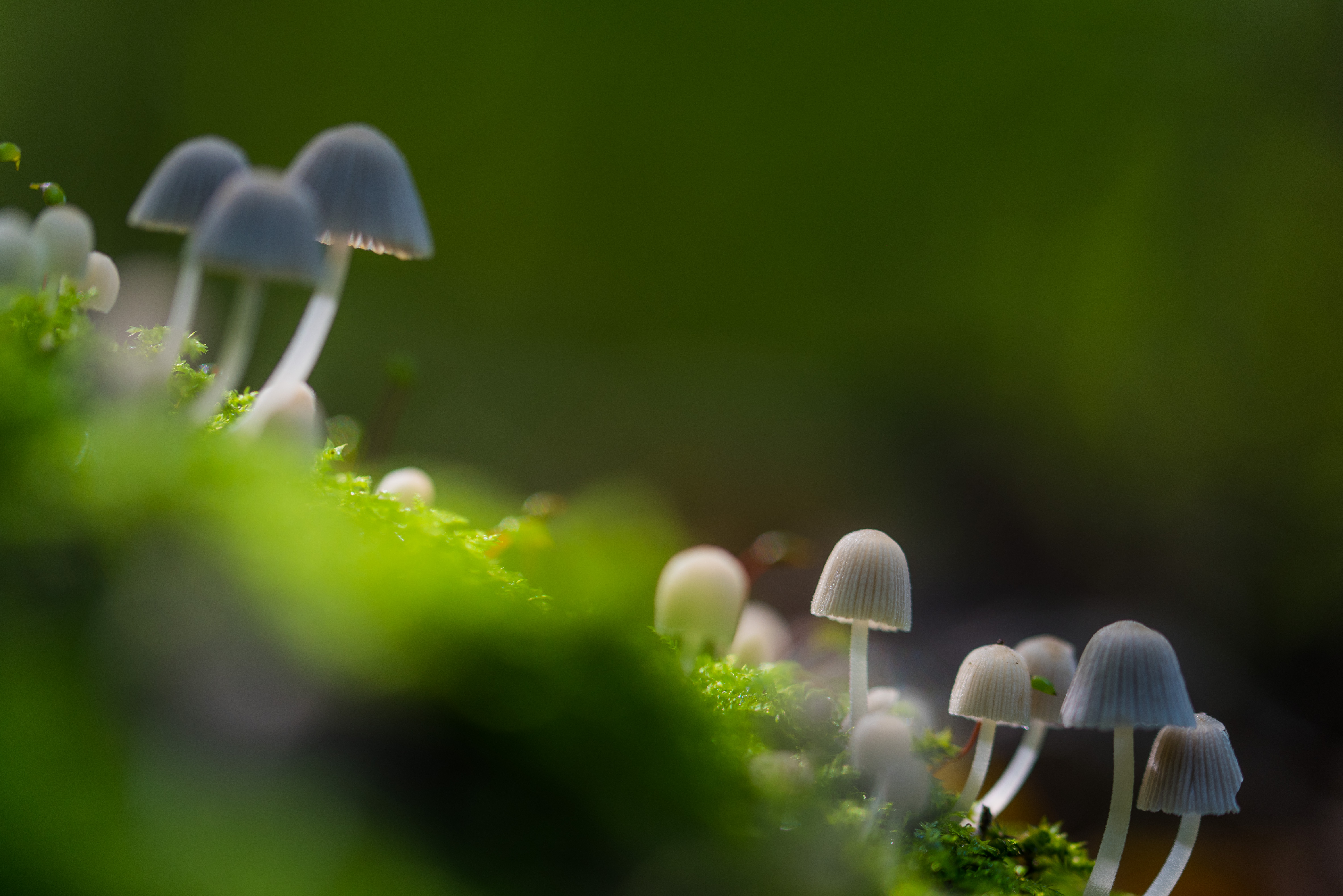 een-beetje-licht-toevoegen