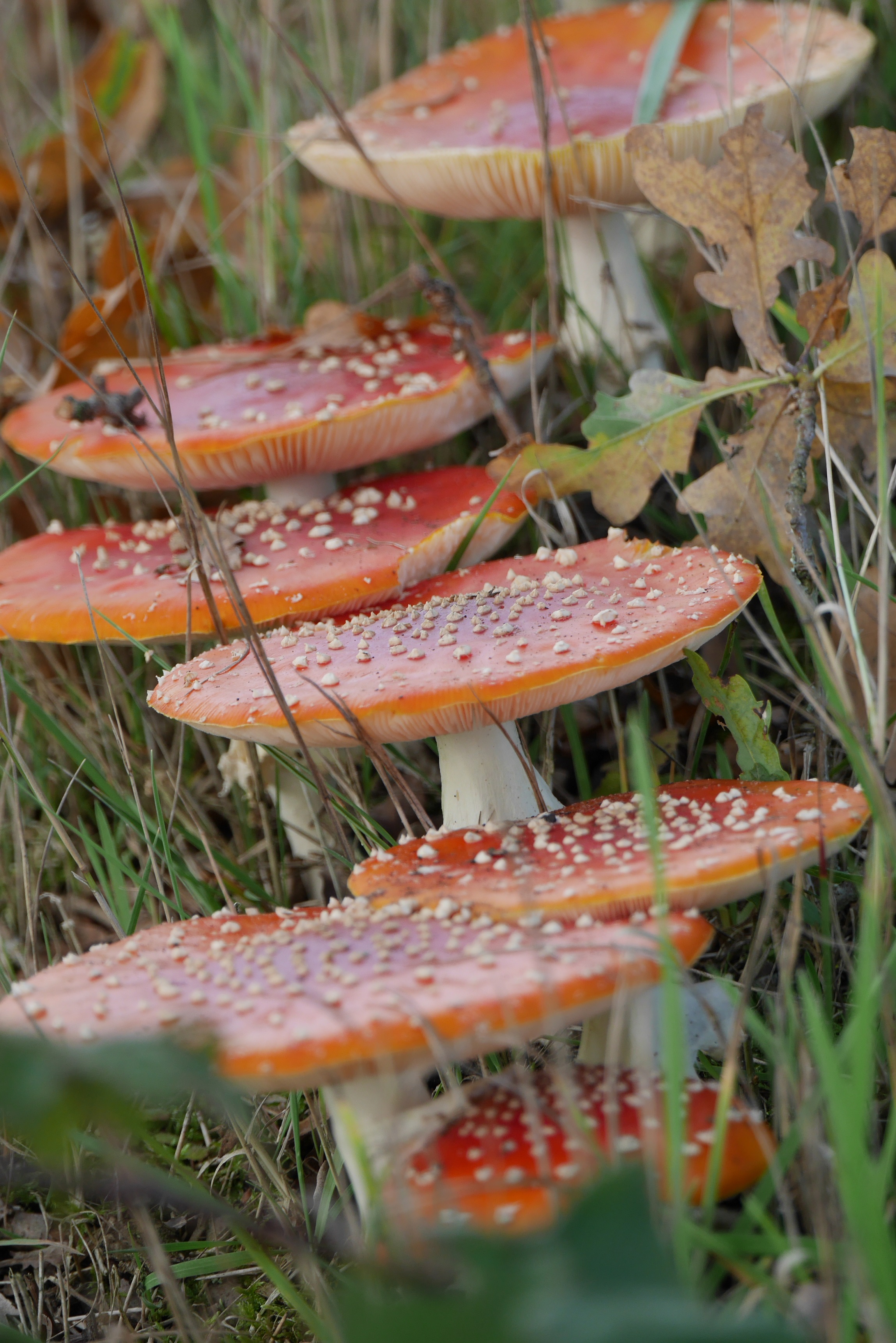van-onder-naar-boven