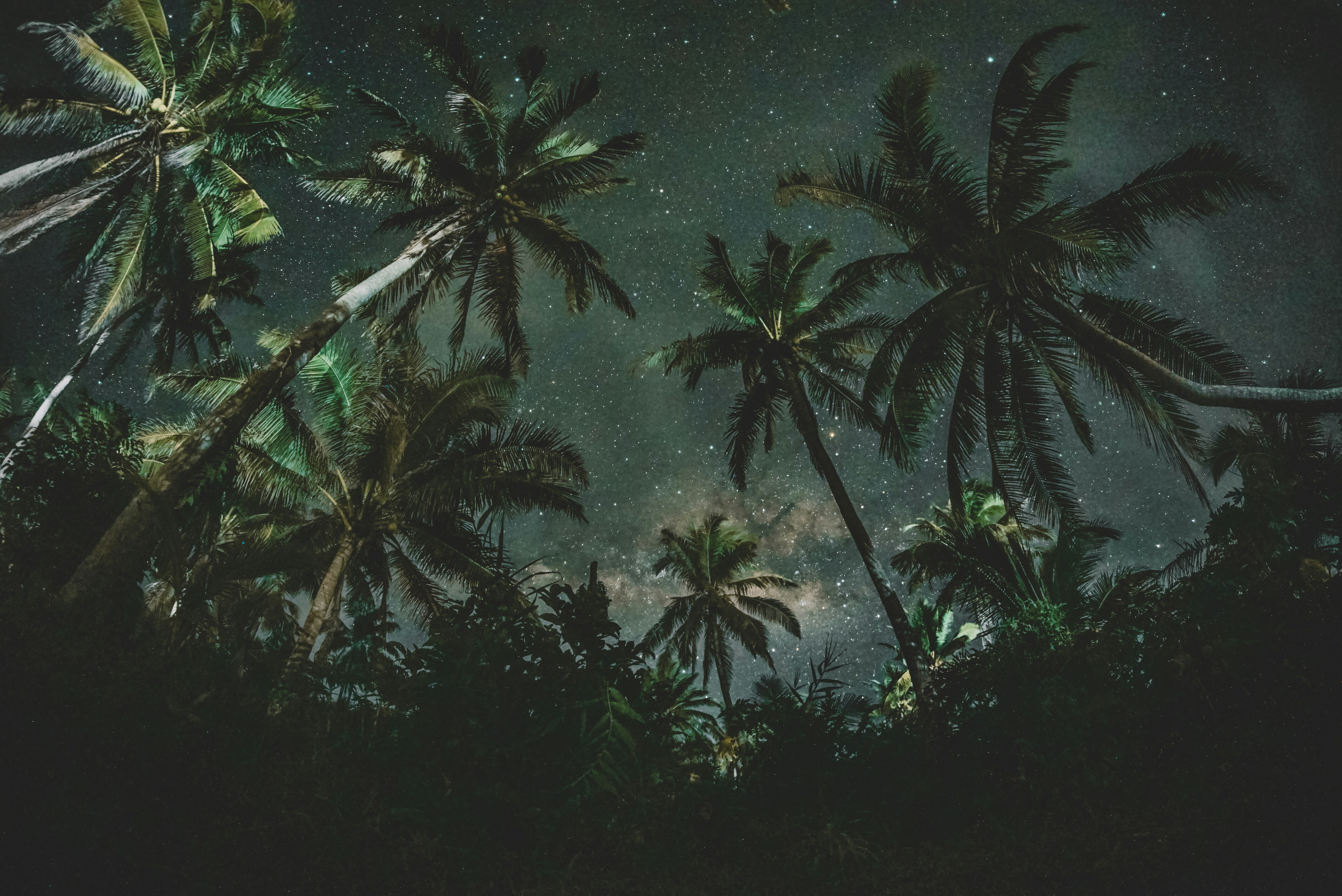 astrofotografie-tips-voor-sterren-en-landschap