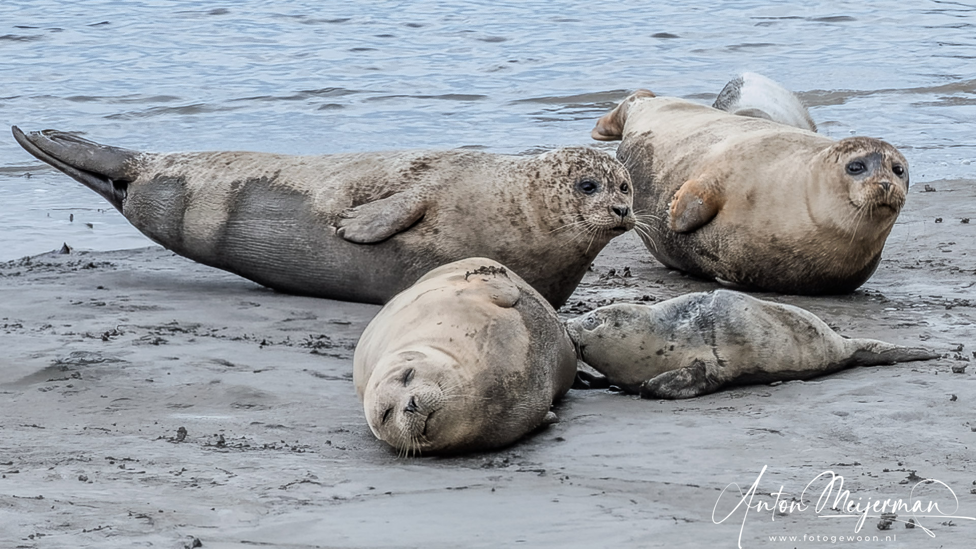 eenzaam-maar-niet-alleen