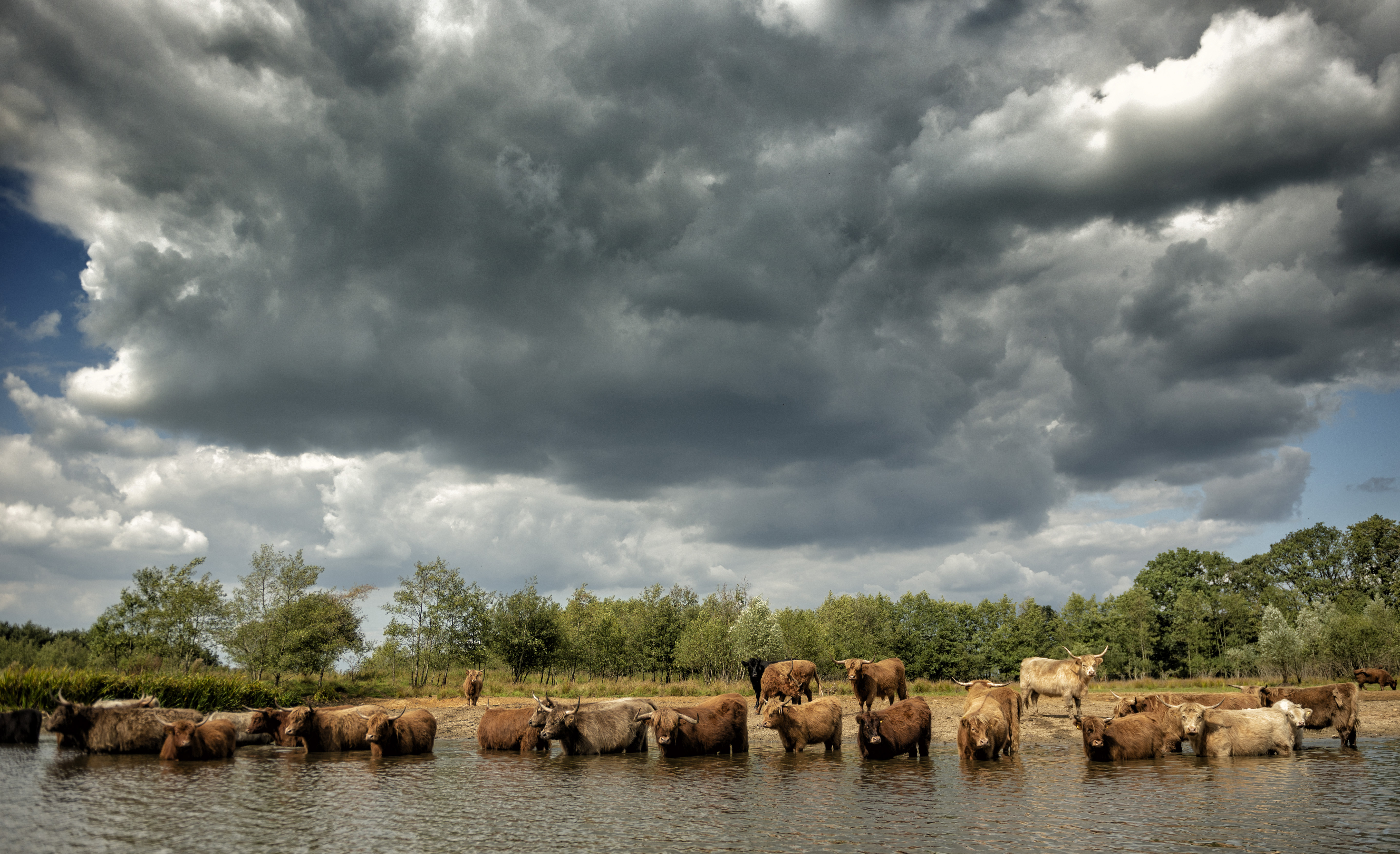rundenen-zoeken-verkoeling