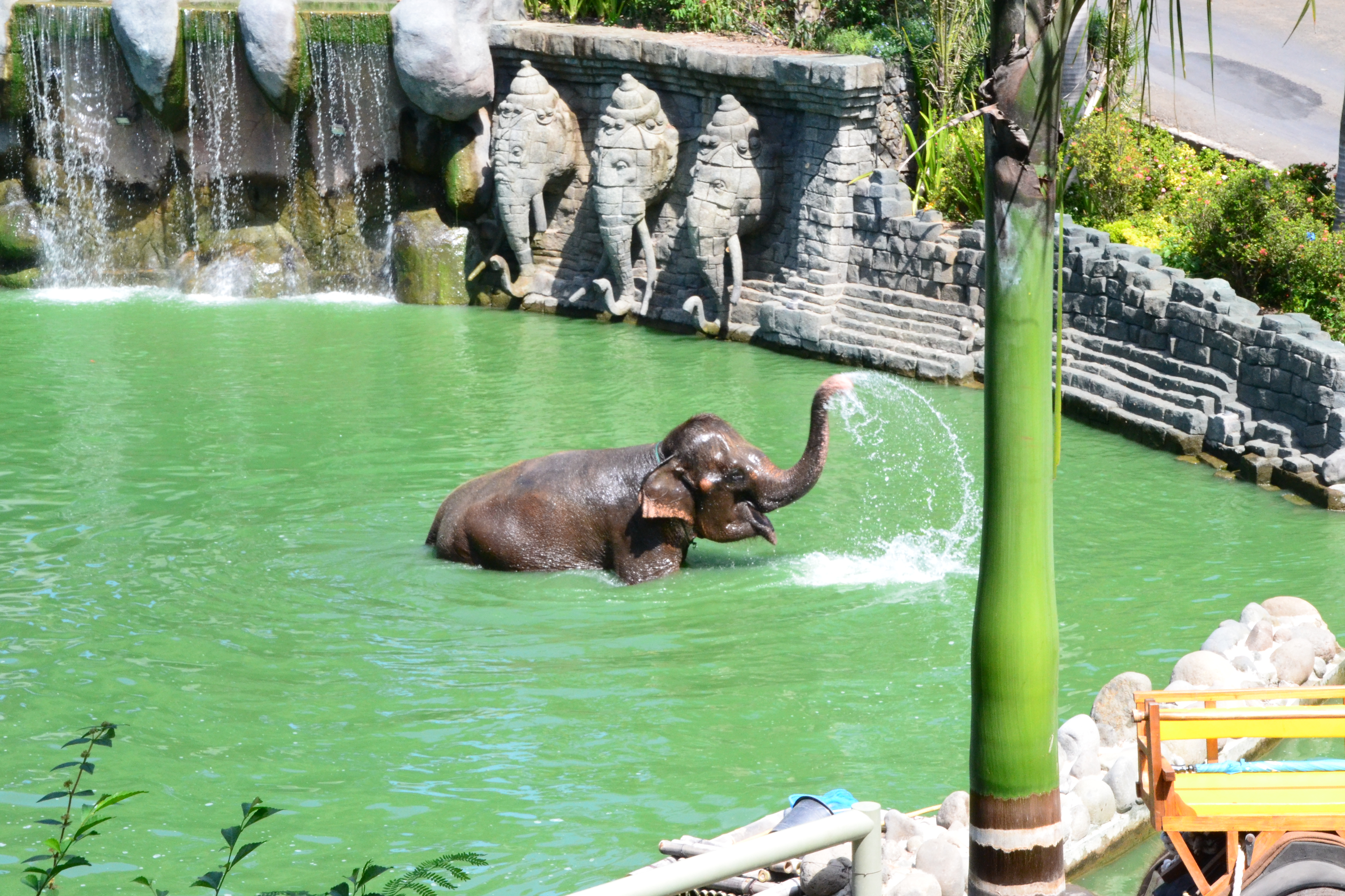 spetter-pieter-water