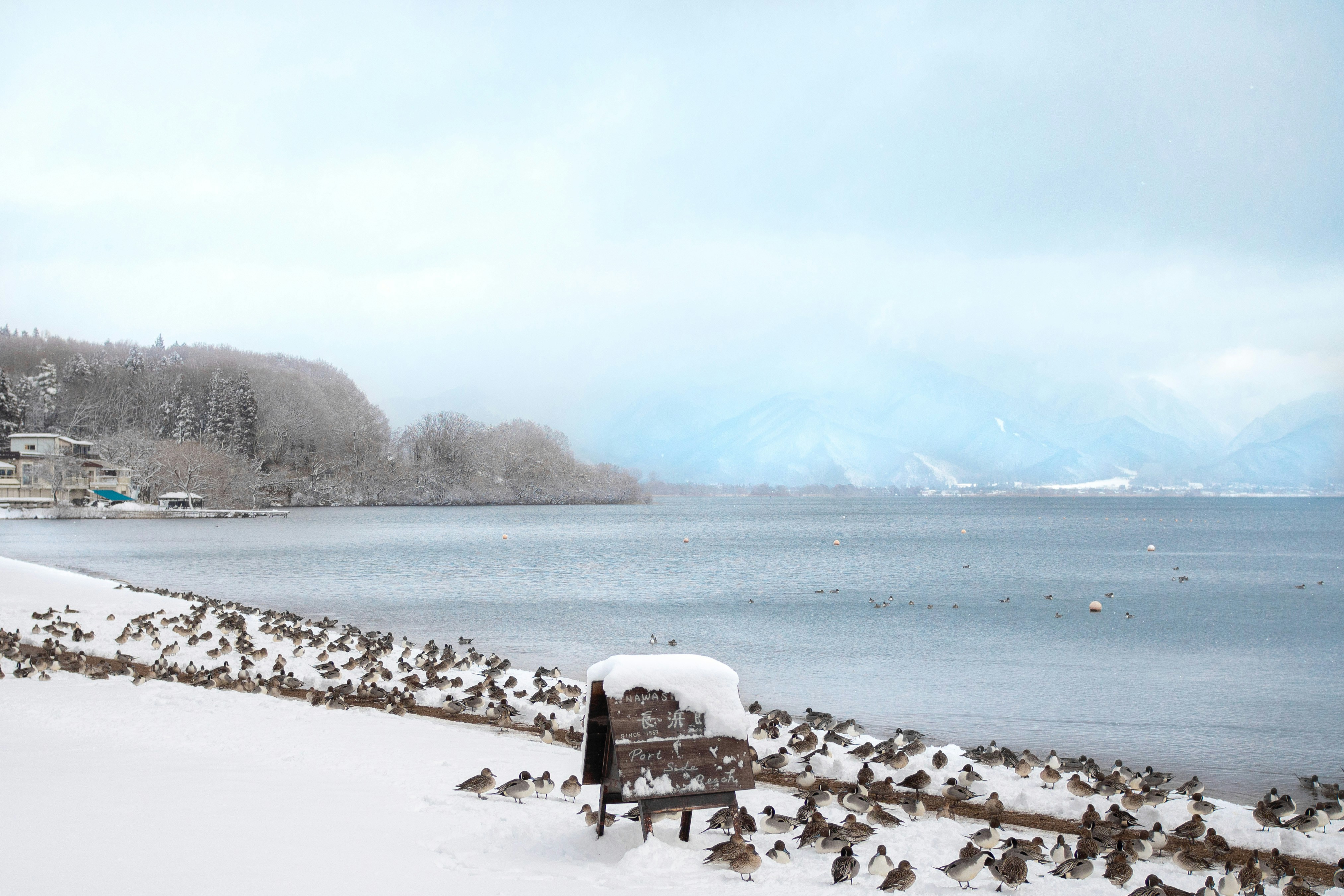 tohoku-fotografie-ruige-landschappen-en-stilte