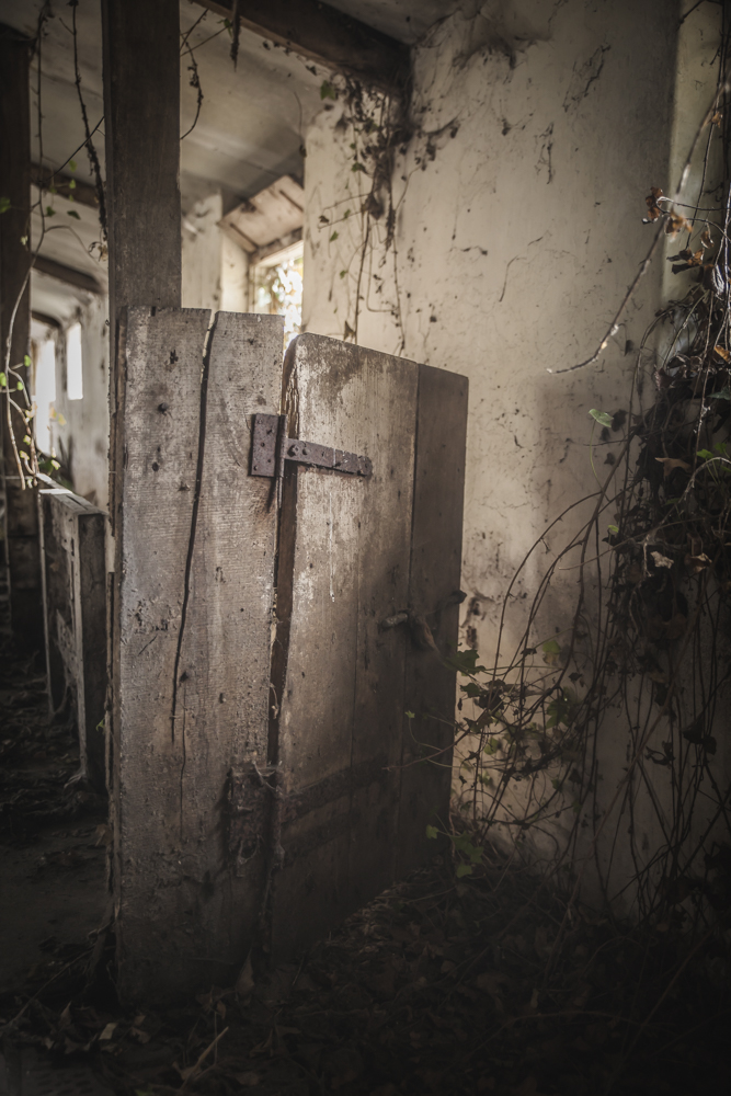 einde-van-de-varkensstal